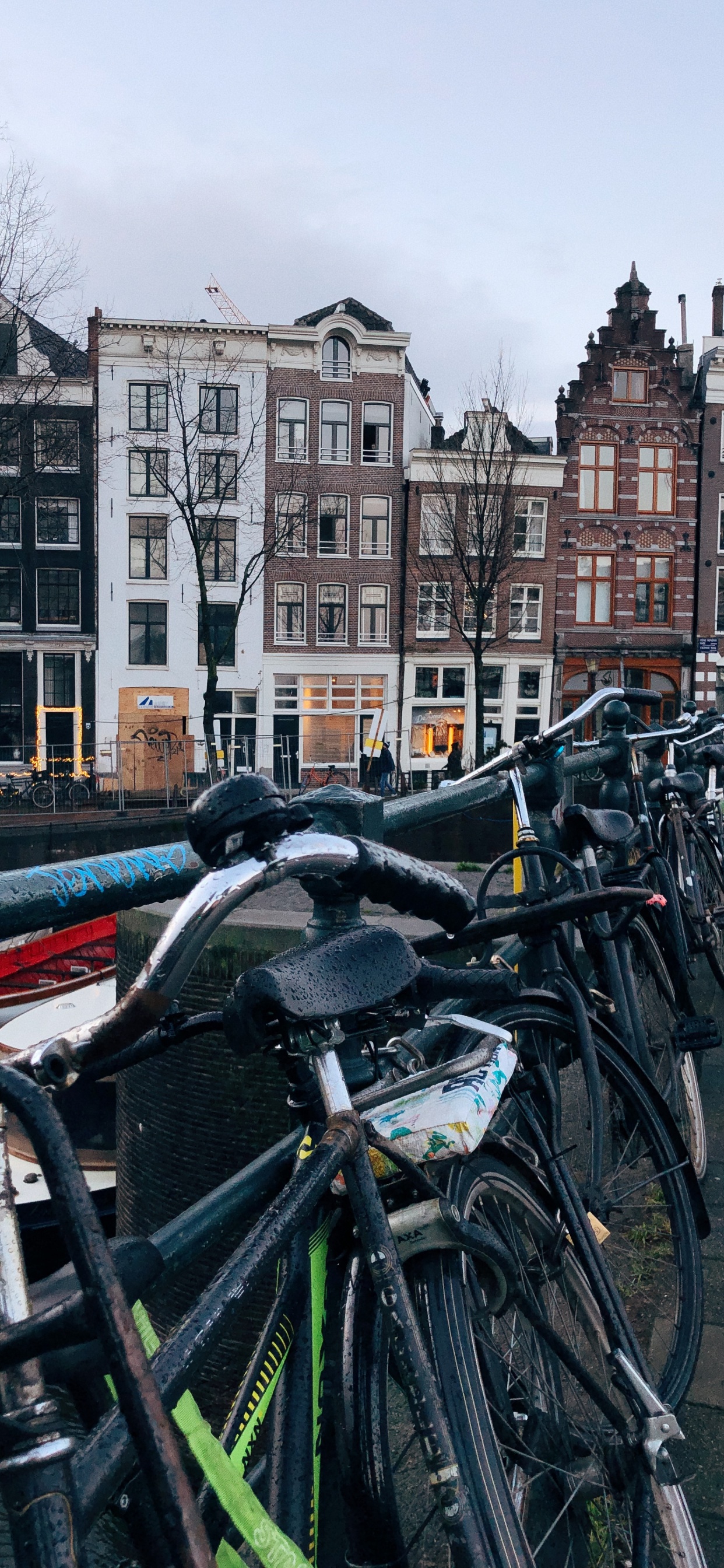 Amsterdam, Road Bicycle, Bicycle, Hybrid Bicycle, King. Wallpaper in 1242x2688 Resolution