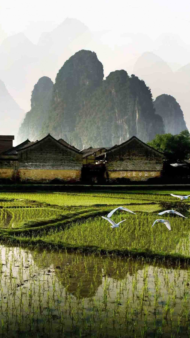 Green Grass Field Near Mountain During Daytime. Wallpaper in 750x1334 Resolution