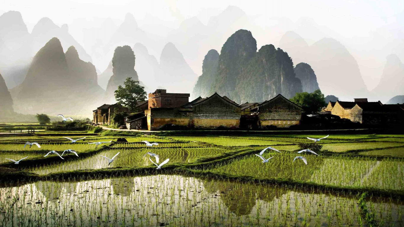 Tagsüber Grüne Wiese in Der Nähe Des Berges. Wallpaper in 1366x768 Resolution