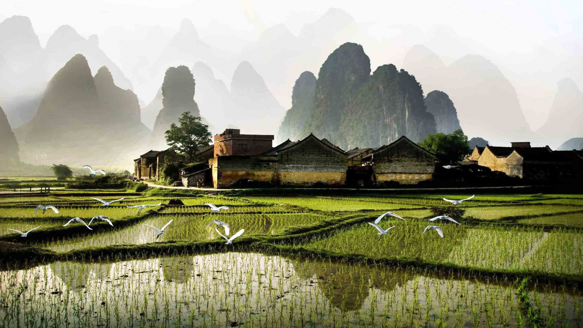 Campo de Hierba Verde Cerca de la Montaña Durante el Día. Wallpaper in 1920x1080 Resolution