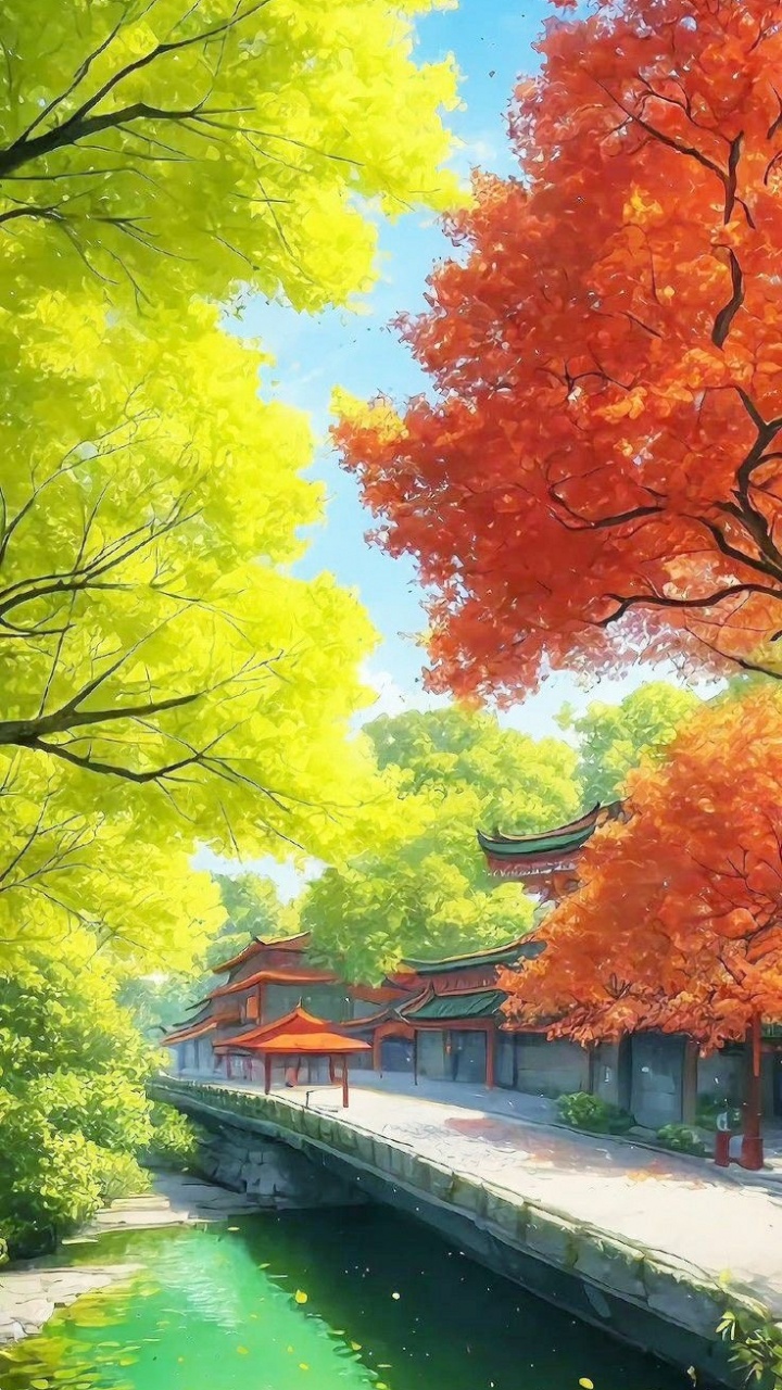 枫叶, 自然景观, 性质, 绿色的, 自然环境 壁纸 720x1280 允许