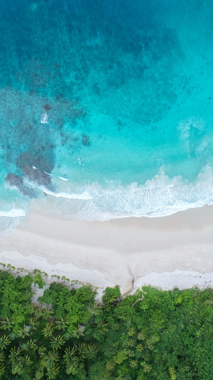 Huawei, Huawei View 20, Honneur 20, Vue D'honneur20, Huawei Honor 20. Wallpaper in 720x1280 Resolution