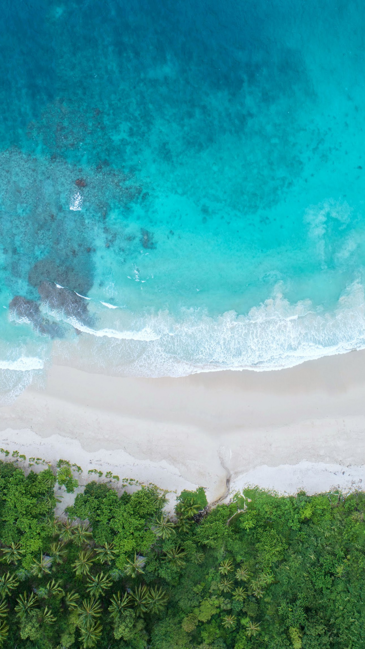 Huawei, Huawei View 20, Honneur 20, Vue D'honneur20, Huawei Honor 20. Wallpaper in 750x1334 Resolution