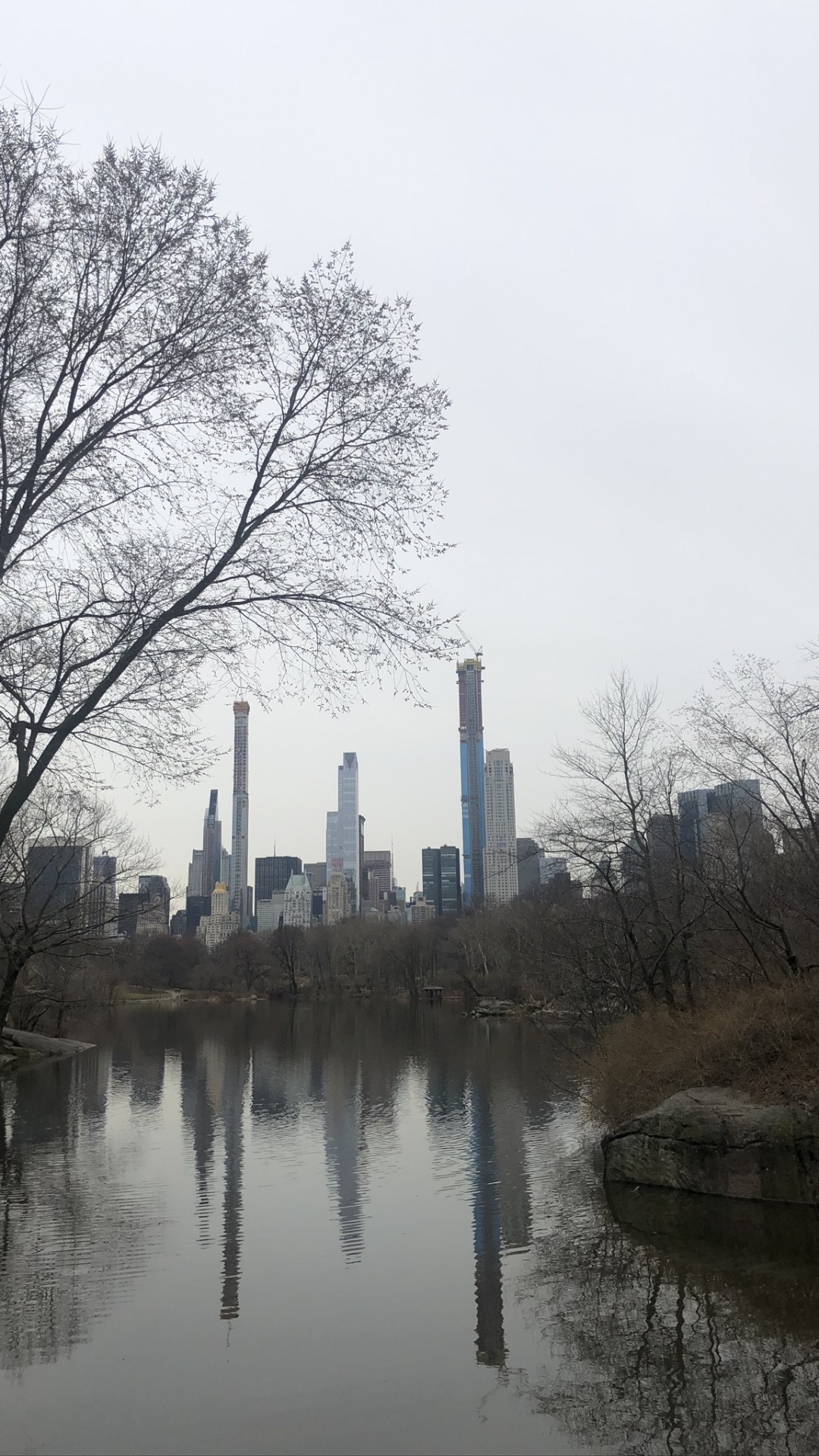 Central Park, Empire State Building, Branch, Reflection, Waterway. Wallpaper in 1080x1920 Resolution