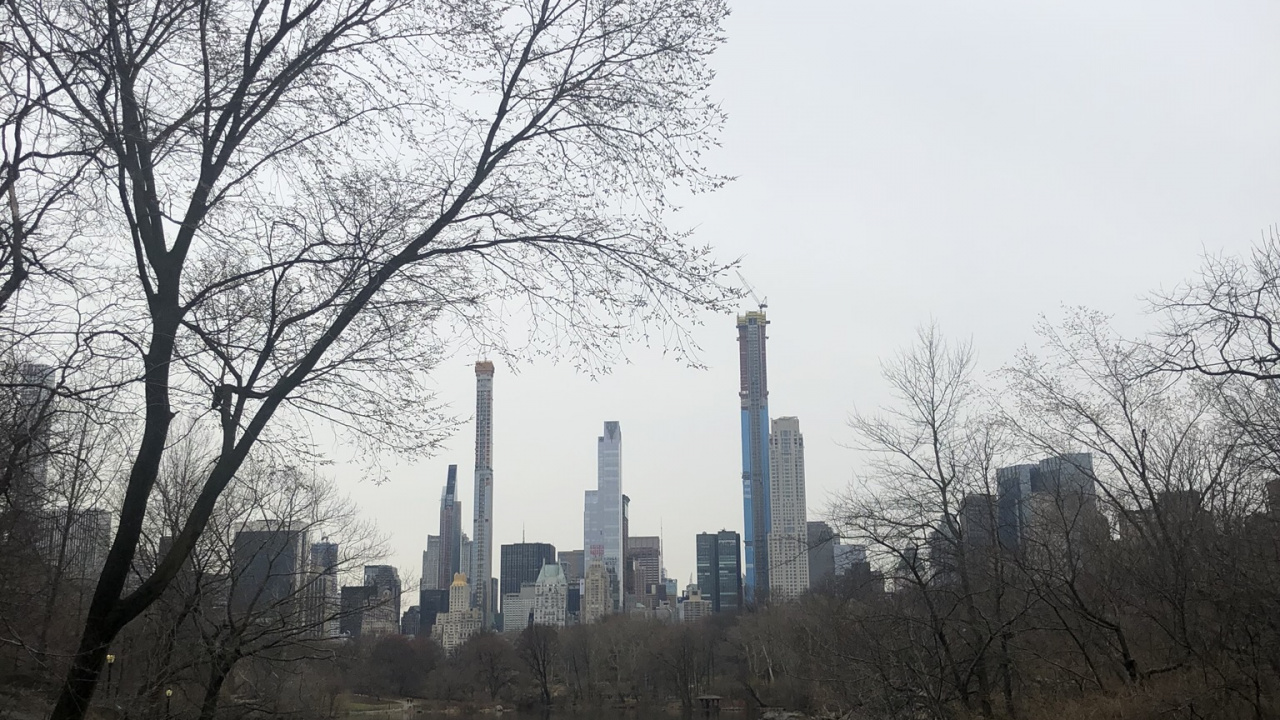 Central Park, Empire State Building, Branch, Reflexion, Wasserstraße. Wallpaper in 1280x720 Resolution