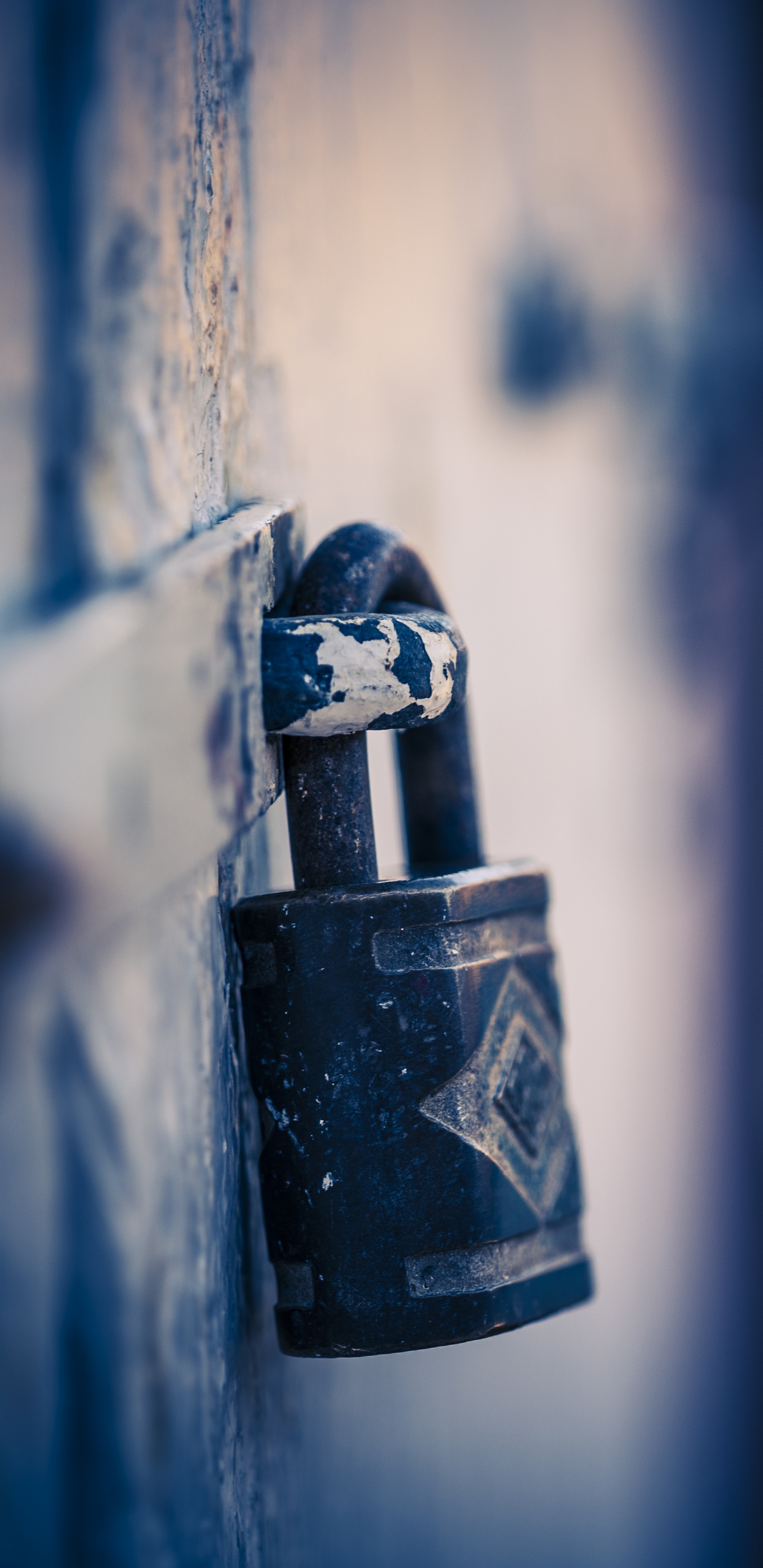 Schwarzes Vorhängeschloss Auf Blauem Metallzaun. Wallpaper in 1440x2960 Resolution