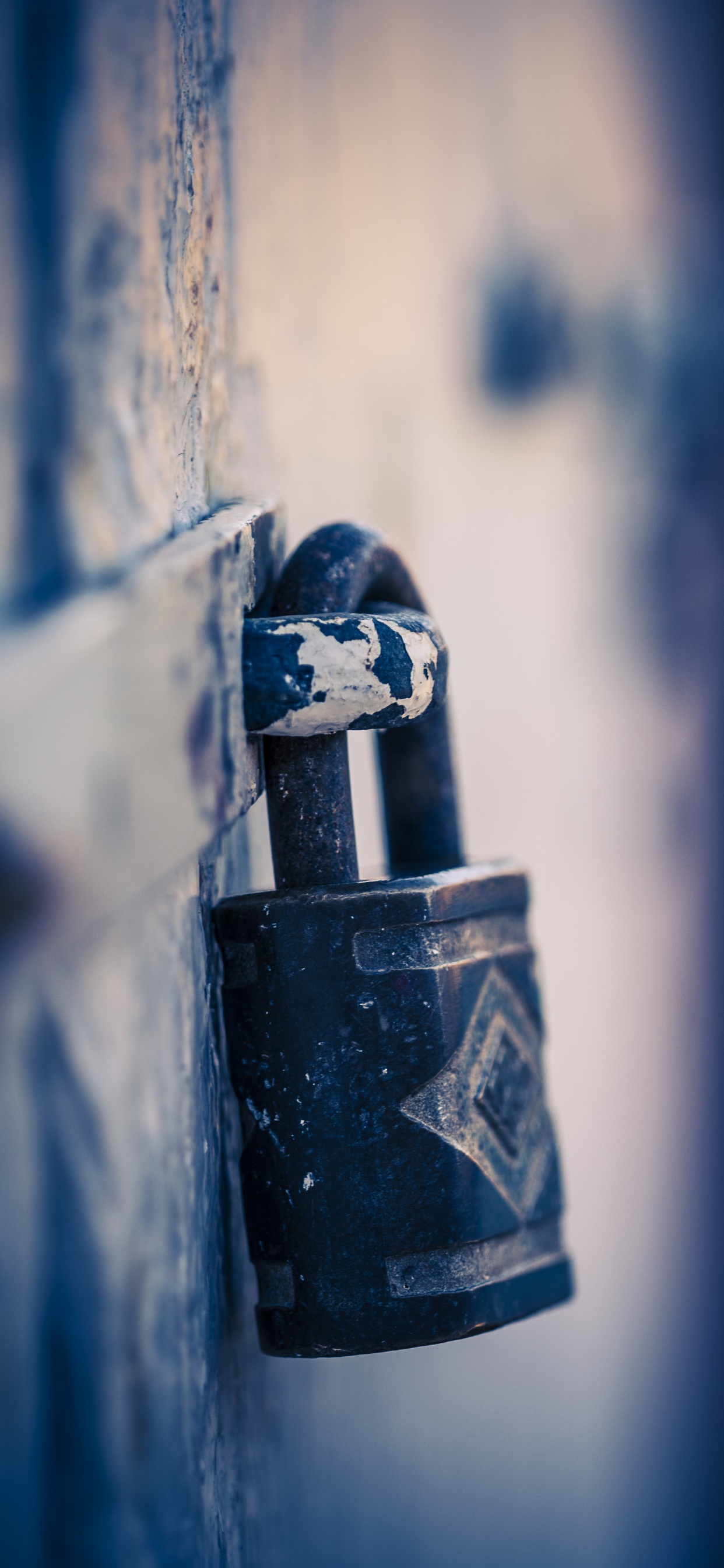 Black Padlock on Blue Metal Fence. Wallpaper in 1242x2688 Resolution