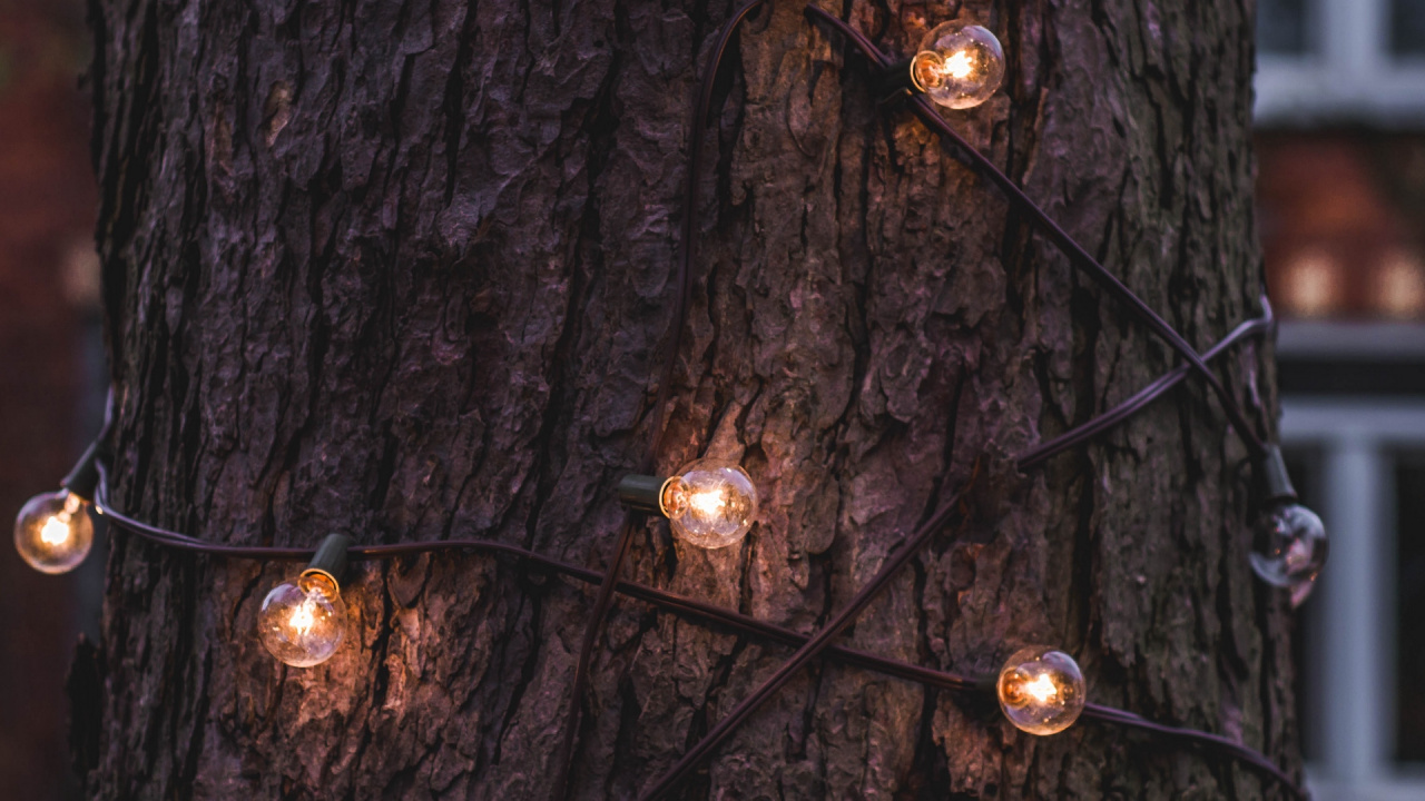 Glühlampe, Weihnachtsbeleuchtung, Baum, Licht, Branch. Wallpaper in 1280x720 Resolution