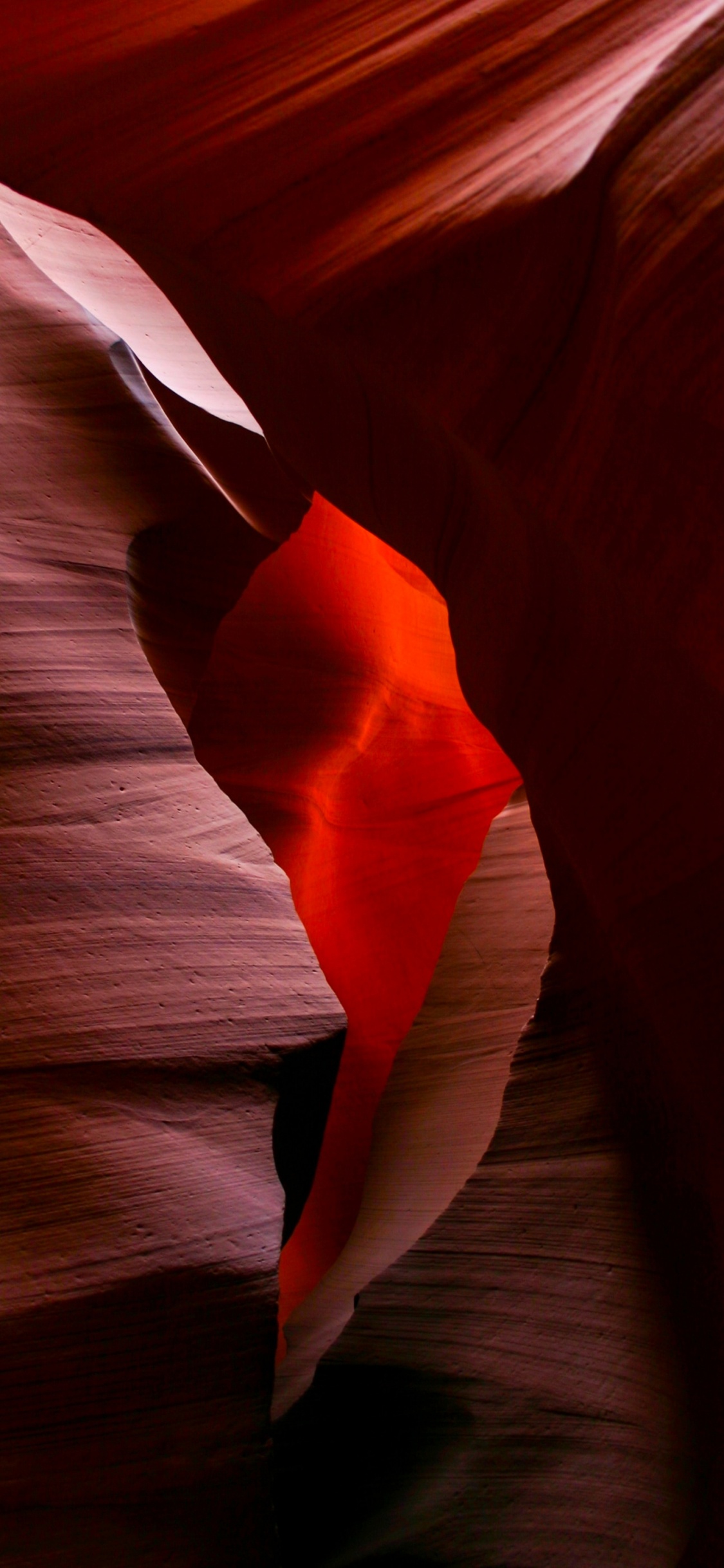Antelope Canyon, Pétalo, Naranja, Tintes y Matices, Material Natural. Wallpaper in 1125x2436 Resolution