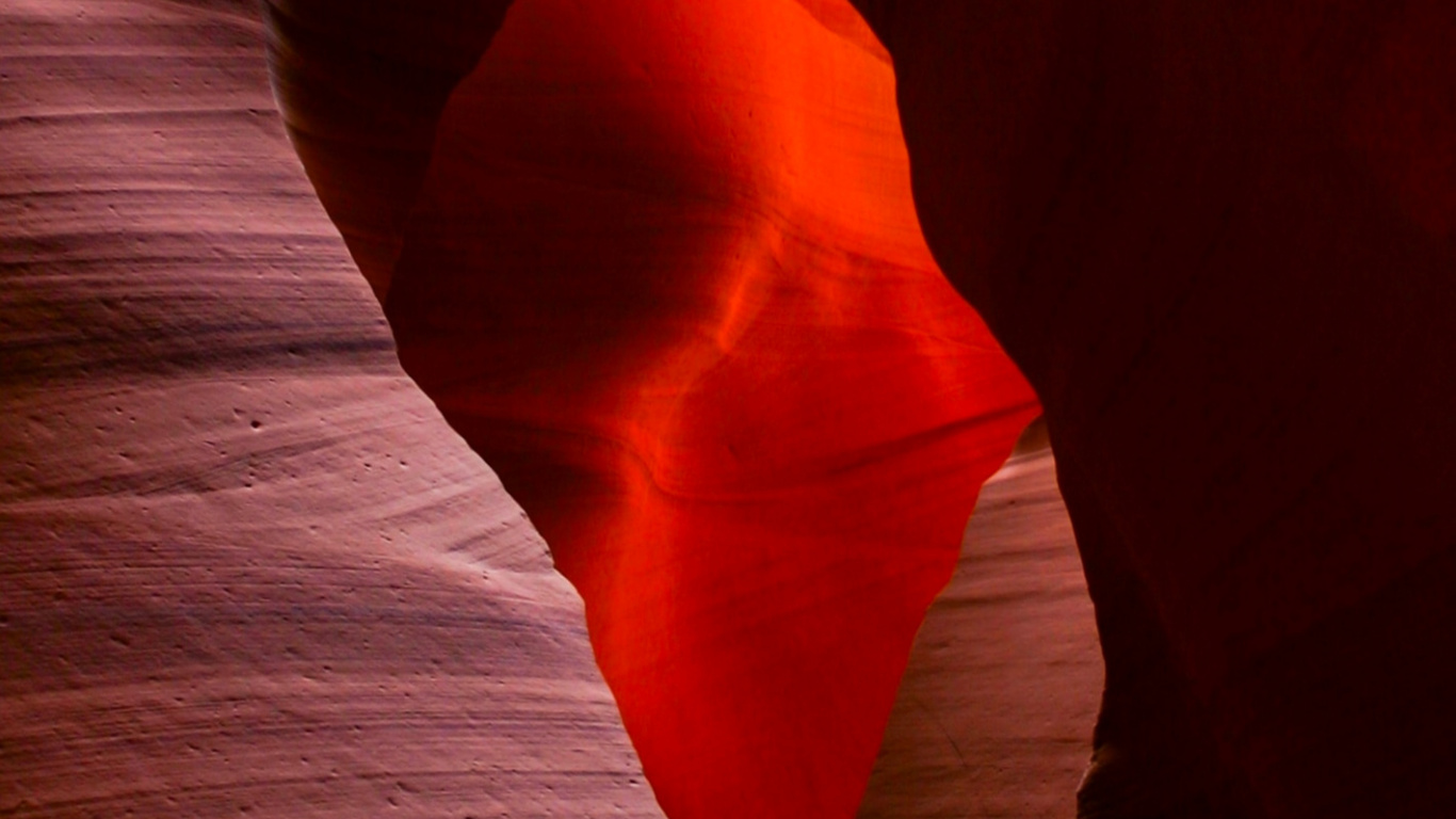 Flower, Antelope Canyon, Petal, Orange, Tints and Shades. Wallpaper in 1366x768 Resolution