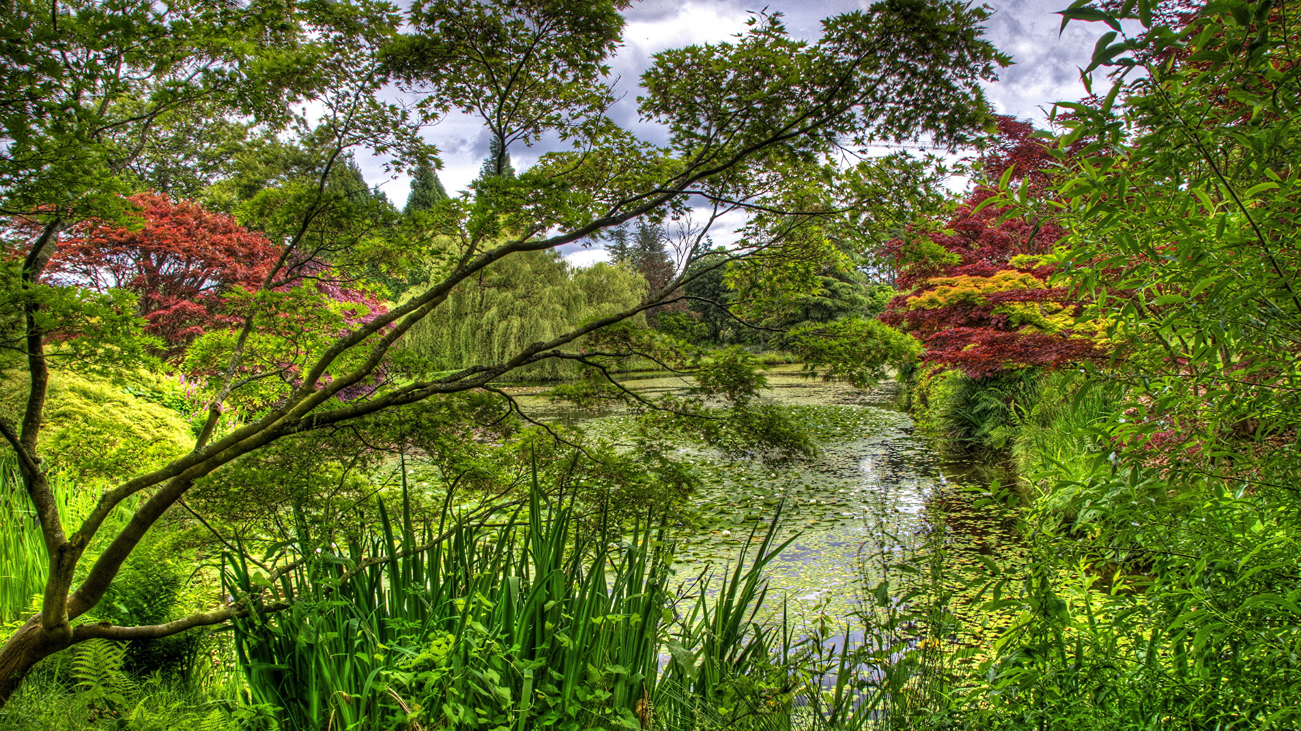 Grünes Gras Und Bäume Neben Dem Fluss Unter Weißen Wolken Und Blauem Himmel Tagsüber. Wallpaper in 2560x1440 Resolution