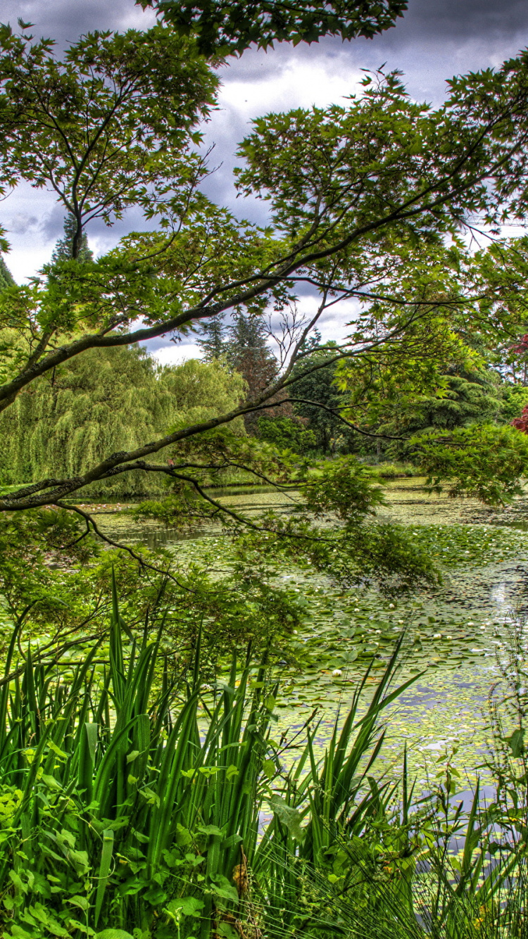Green Grass and Trees Beside River Under White Clouds and Blue Sky During Daytime. Wallpaper in 750x1334 Resolution