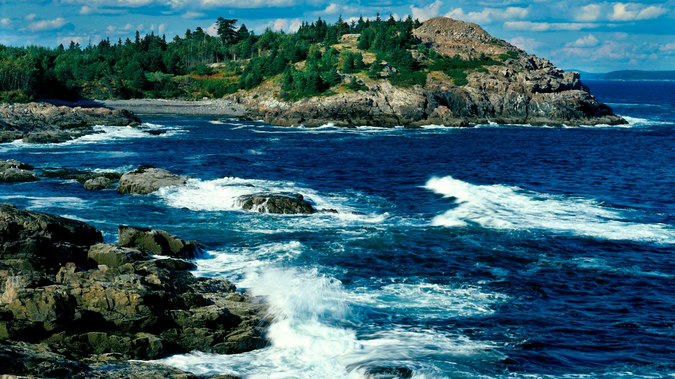 Green Trees on Rocky Shore During Daytime. Wallpaper in 1366x768 Resolution