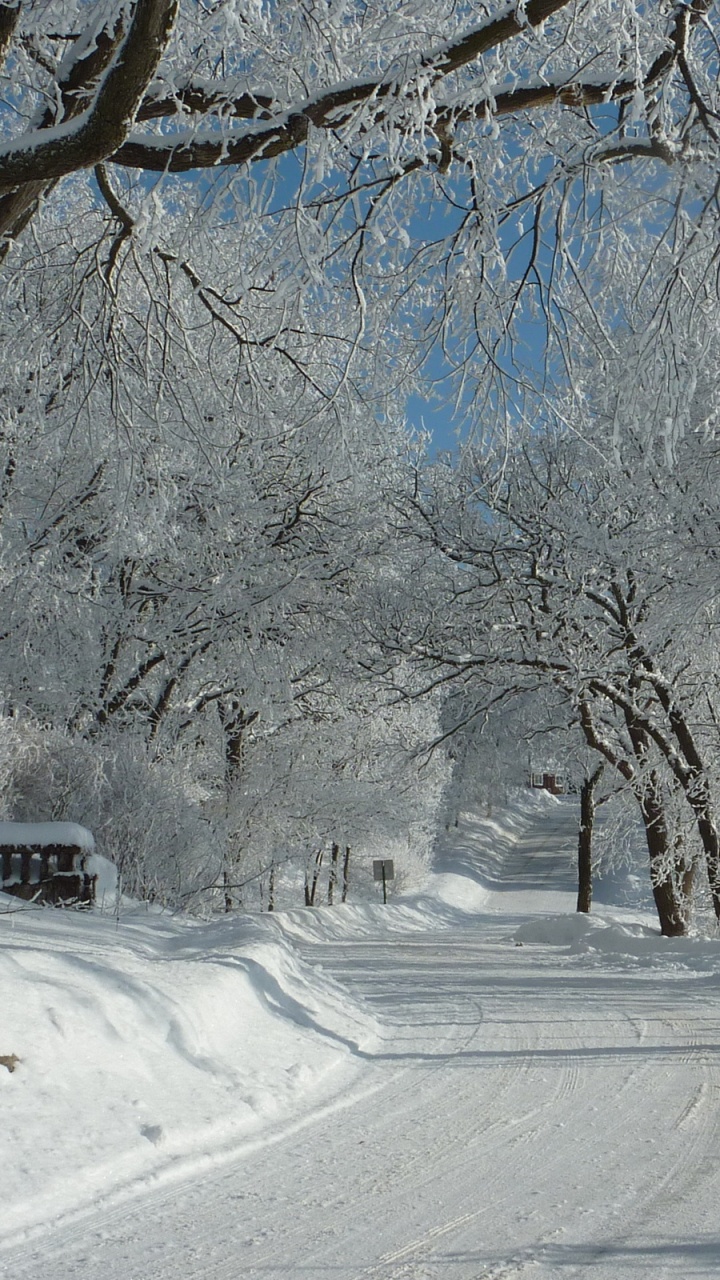 Snow Covered Road Between Trees During Daytime. Wallpaper in 720x1280 Resolution