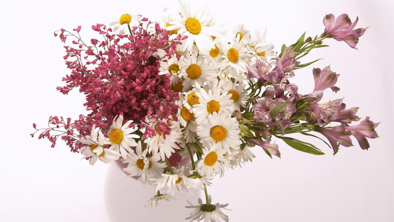 Fleurs Blanches et Roses Sur Vase en Céramique Blanche. Wallpaper in 1280x720 Resolution