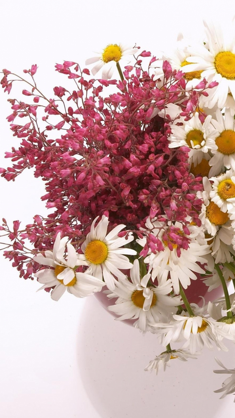 Fleurs Blanches et Roses Sur Vase en Céramique Blanche. Wallpaper in 750x1334 Resolution