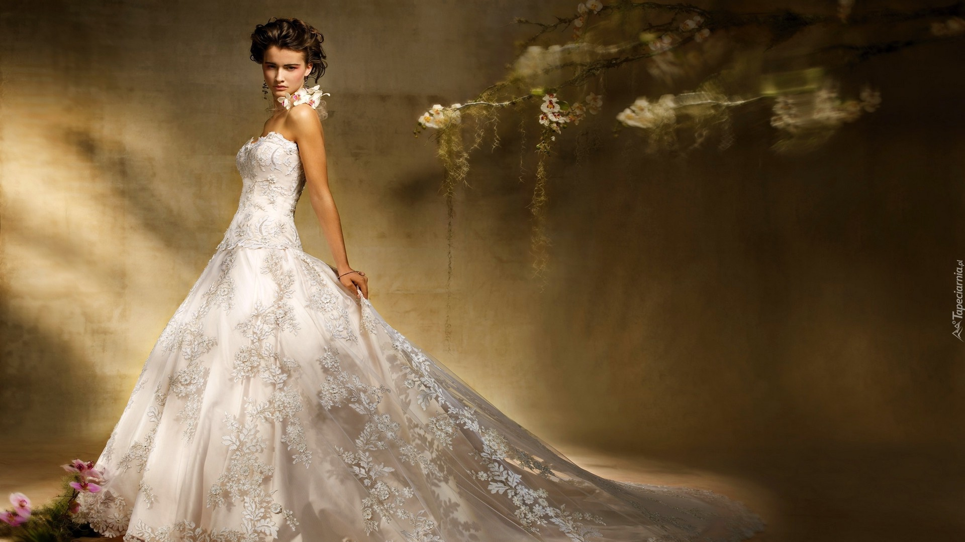 婚礼礼服, 衣服, 礼服, 时装模特, 新娘的服装 壁纸 1920x1080 允许