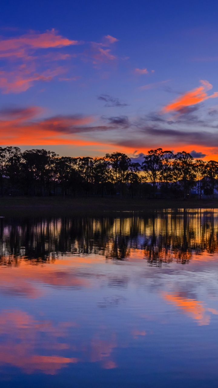 Gewässer in Der Nähe Von Bäumen Bei Sonnenuntergang. Wallpaper in 720x1280 Resolution