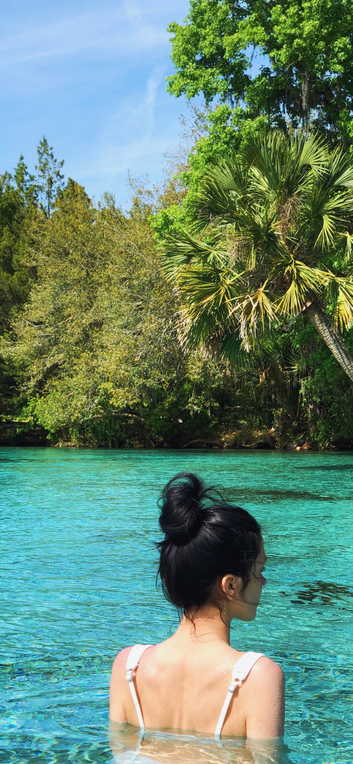 Wasser, Lagune, Meer, Natur, Tropics. Wallpaper in 1125x2436 Resolution