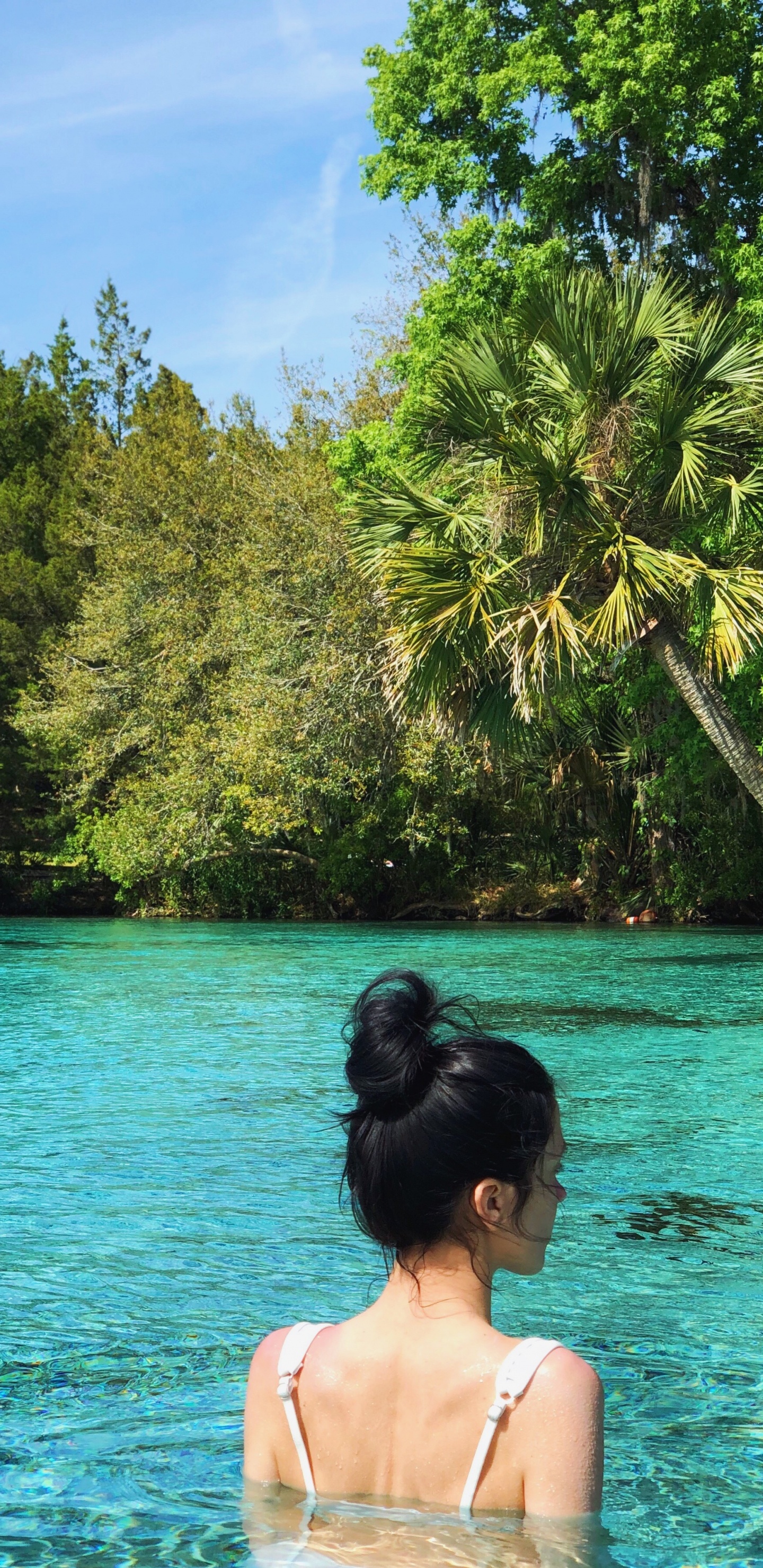 Wasser, Lagune, Meer, Natur, Tropics. Wallpaper in 1440x2960 Resolution