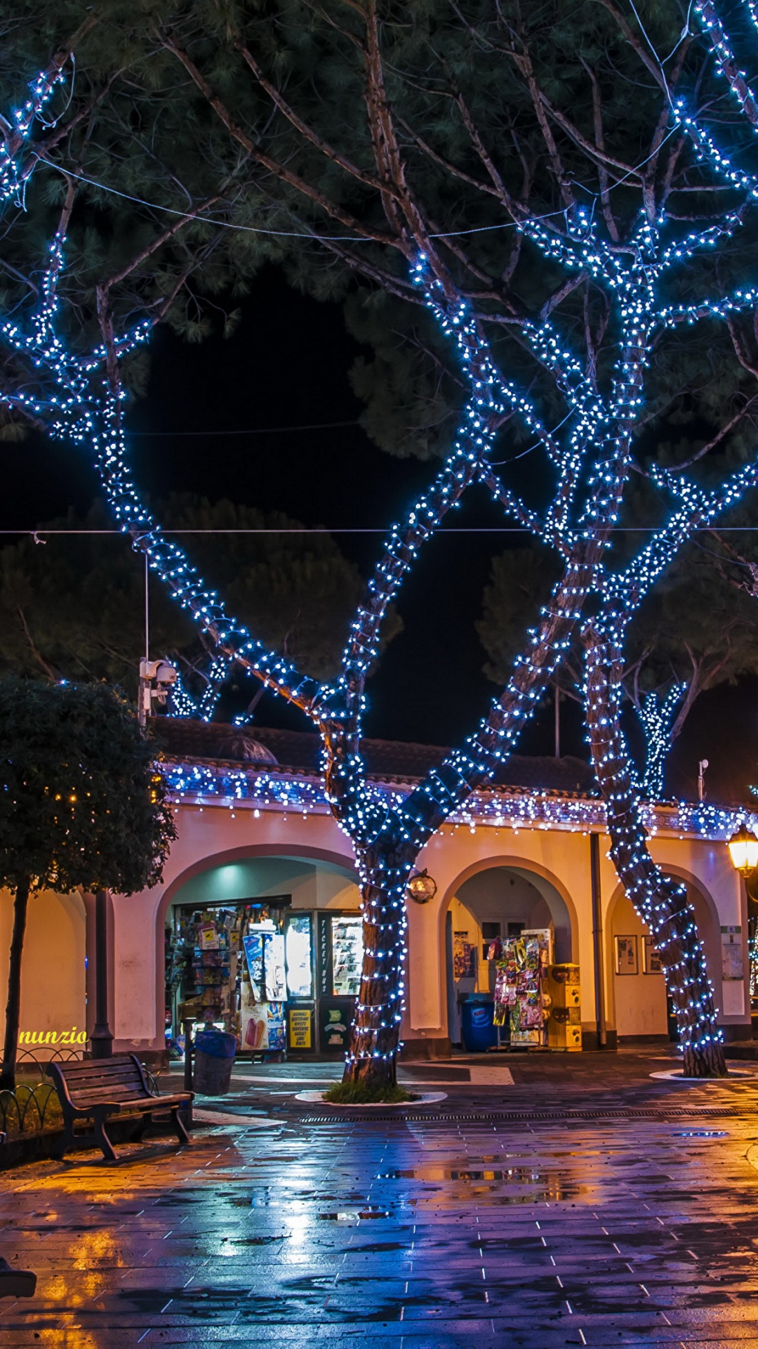 Christmas Day, Christmas Lights, Landmark, Lighting, Light. Wallpaper in 1080x1920 Resolution