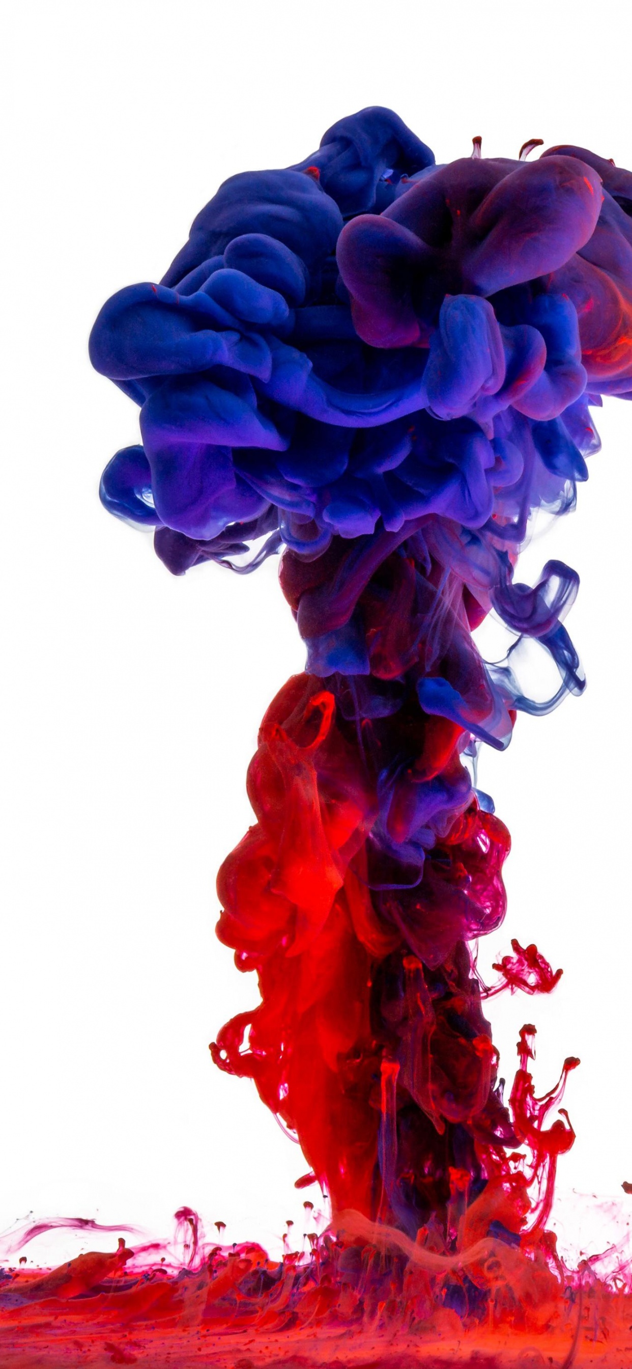 Color, Acrylic Paint, Blue, Colorfulness, Red. Wallpaper in 1242x2688 Resolution