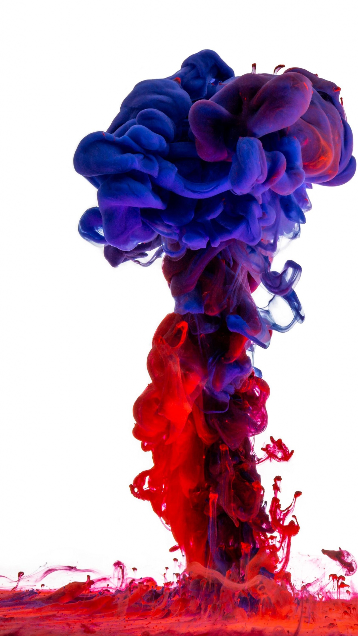 Color, Pintura Acrílica, Azul, Rojo, Pétalo. Wallpaper in 1440x2560 Resolution