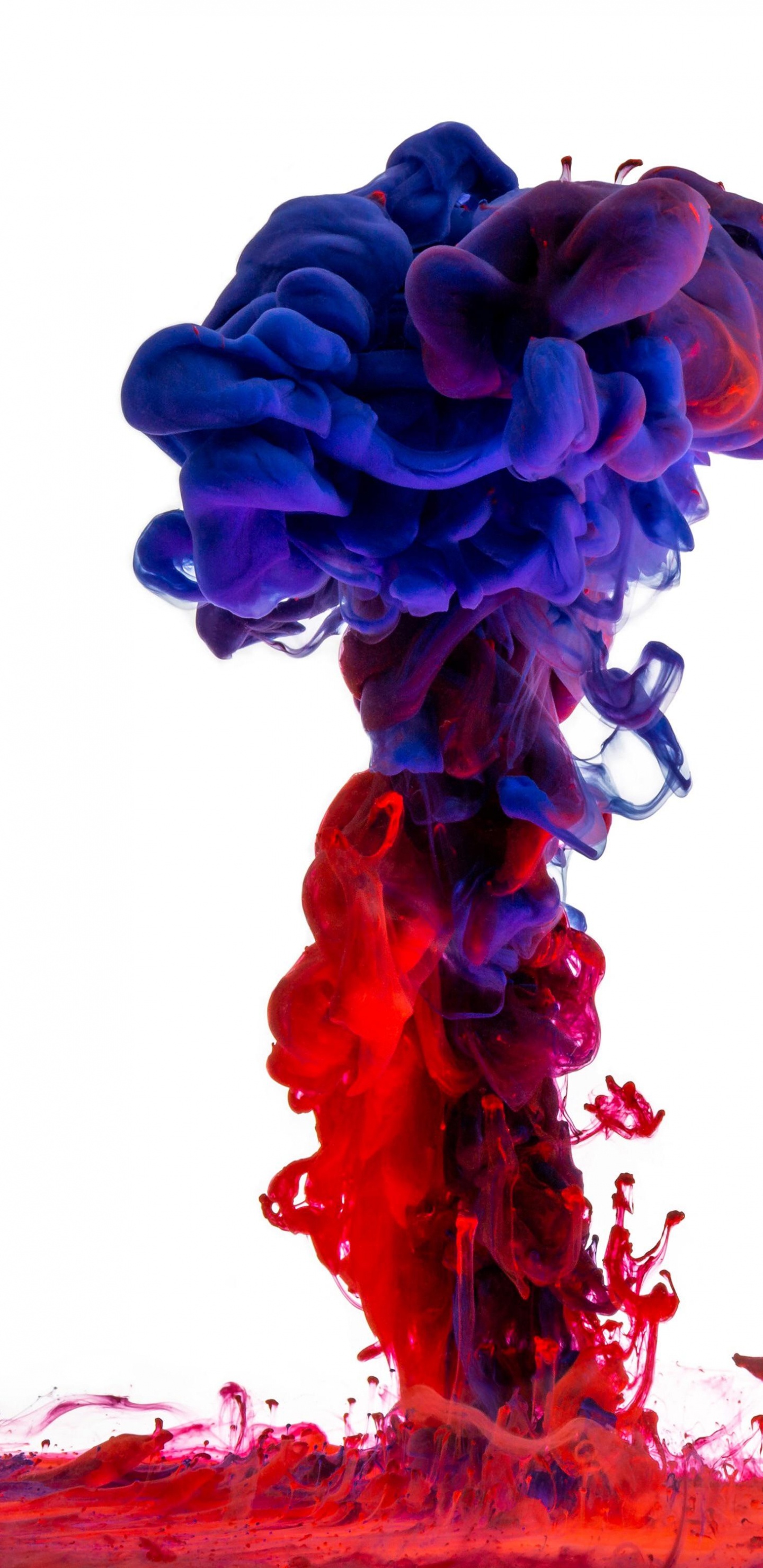 Couleur, Peinture Acrylique, Blue, la Pureté de la Couleur, Red. Wallpaper in 1440x2960 Resolution