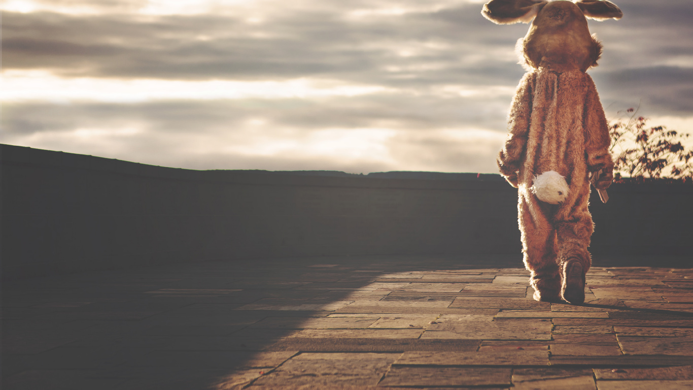 Brown and White Dog Plush Toy on Brown Wooden Surface. Wallpaper in 1366x768 Resolution