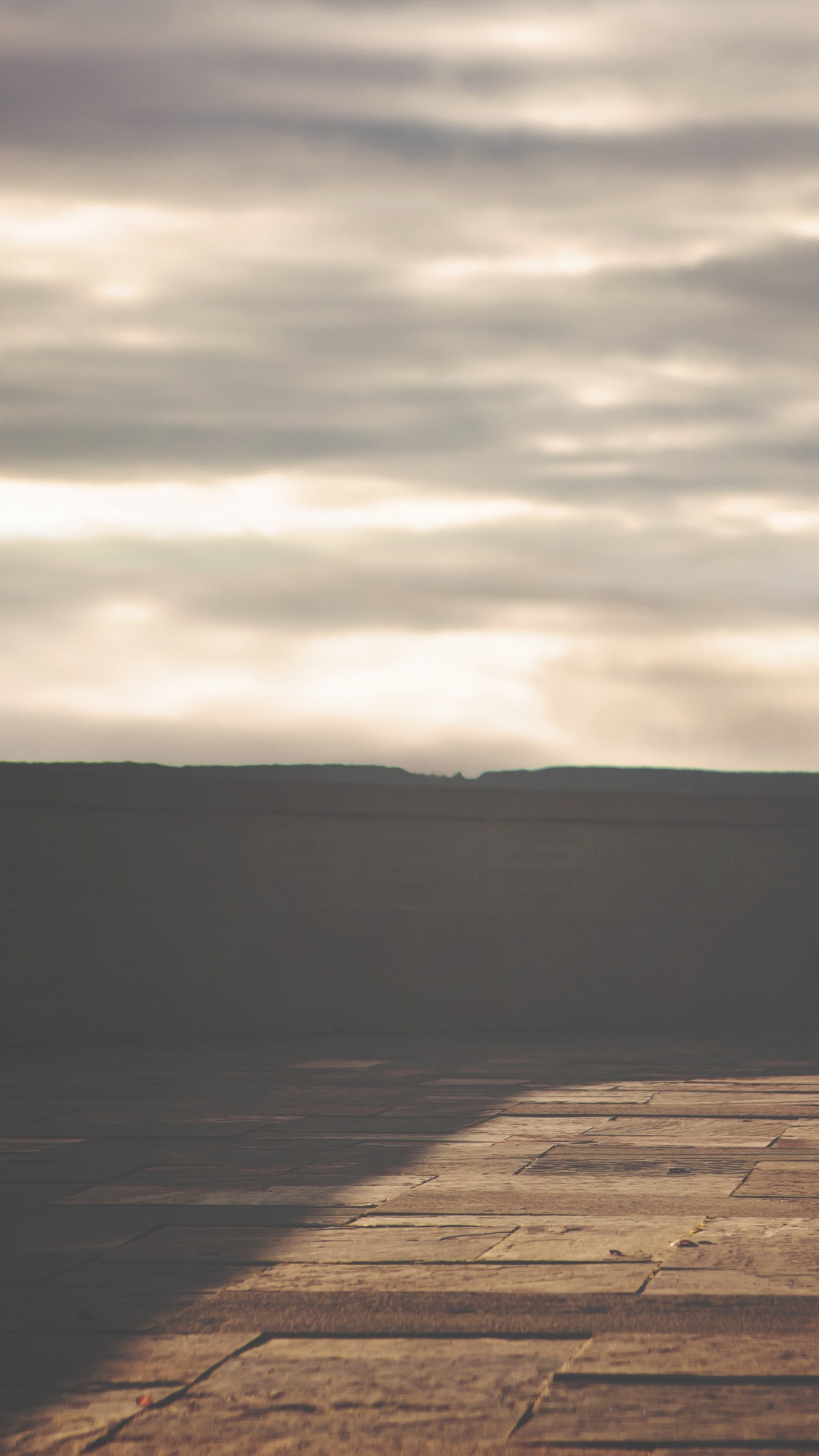 复活节, 小鹿, 野兔, 木, 天空 壁纸 1080x1920 允许