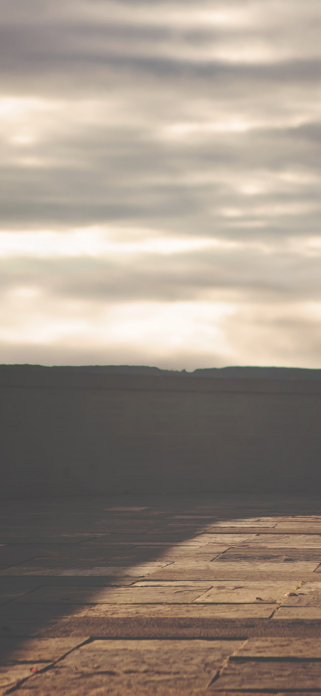 复活节, 小鹿, 野兔, 木, 天空 壁纸 1125x2436 允许