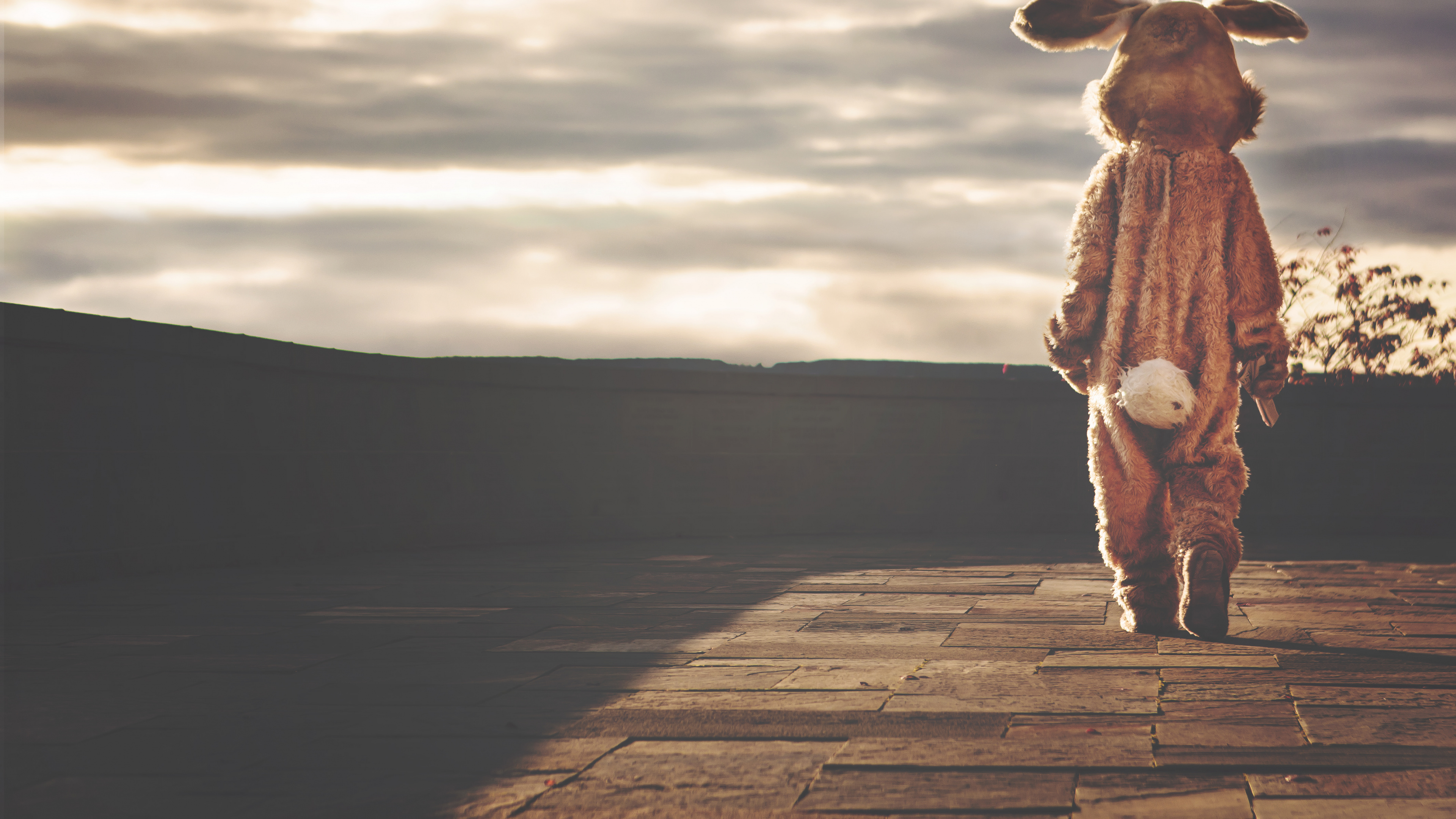 Peluche de Perro Marrón y Blanco Sobre Superficie de Madera Marrón. Wallpaper in 3840x2160 Resolution