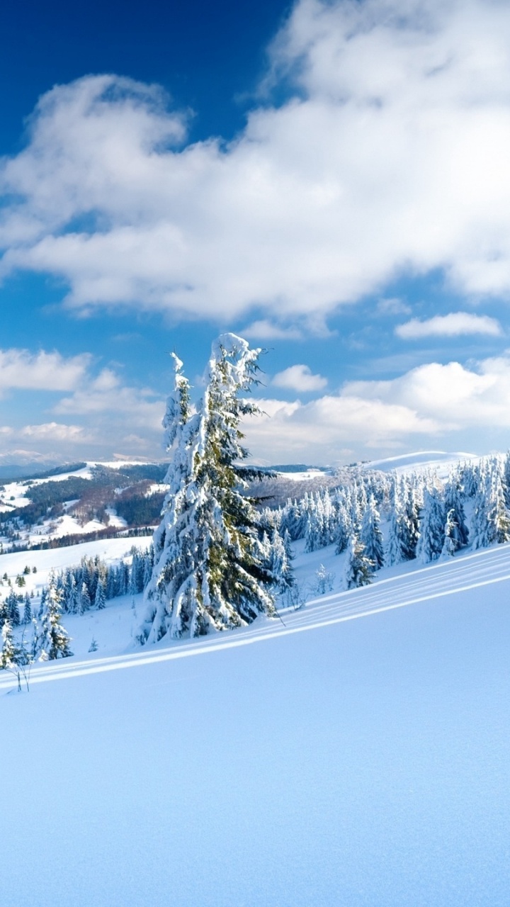 Grüne Kiefer Auf Schneebedecktem Boden Unter Weißen Wolken Und Blauem Himmel Tagsüber During. Wallpaper in 720x1280 Resolution