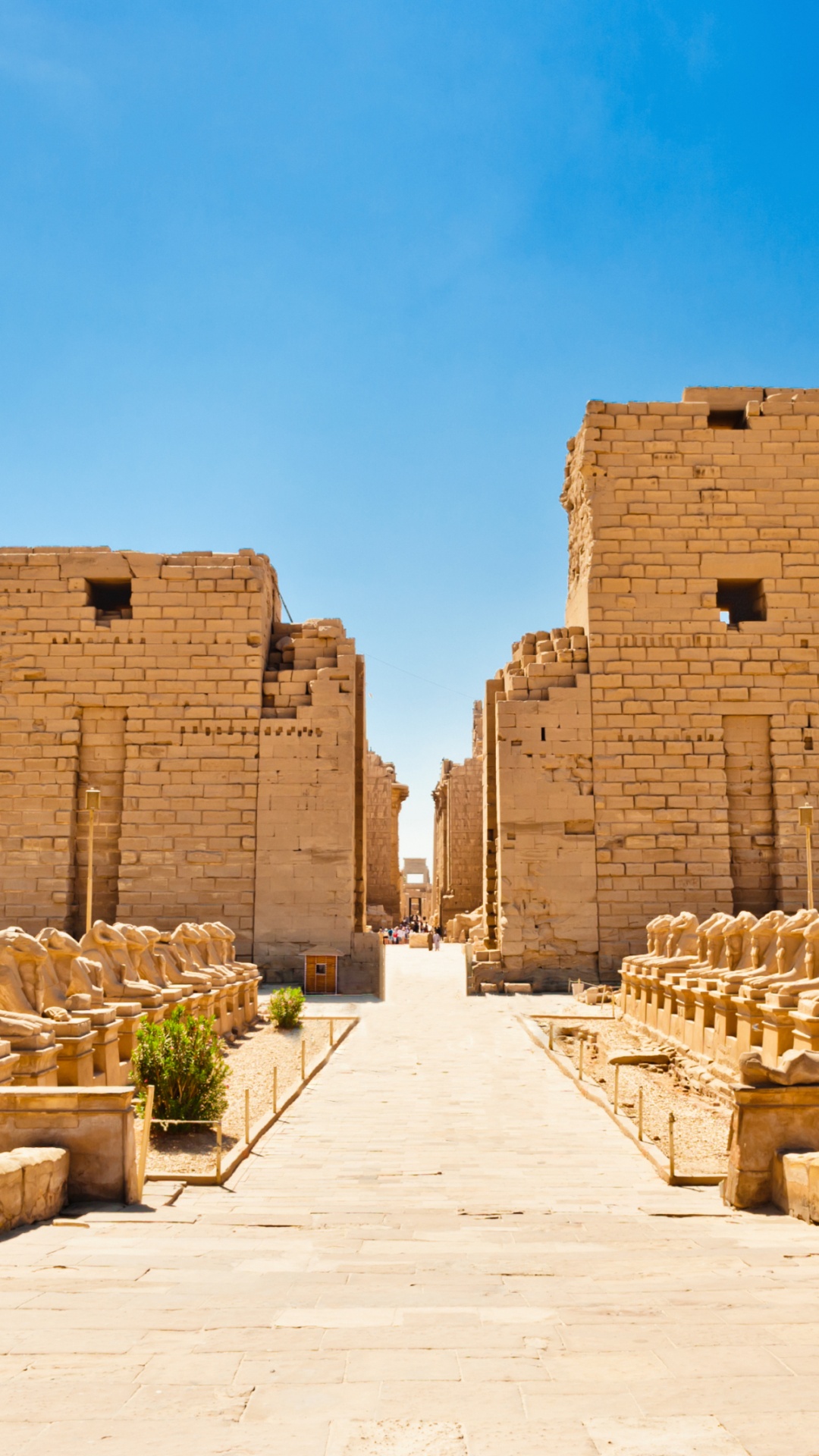 Bâtiment en Béton Brun Près Des Arbres Verts Pendant la Journée. Wallpaper in 1080x1920 Resolution