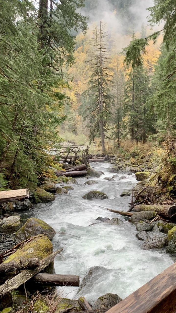 Natur, Wasser, Naturlandschaft, Natürlichen Umgebung, Baum. Wallpaper in 720x1280 Resolution
