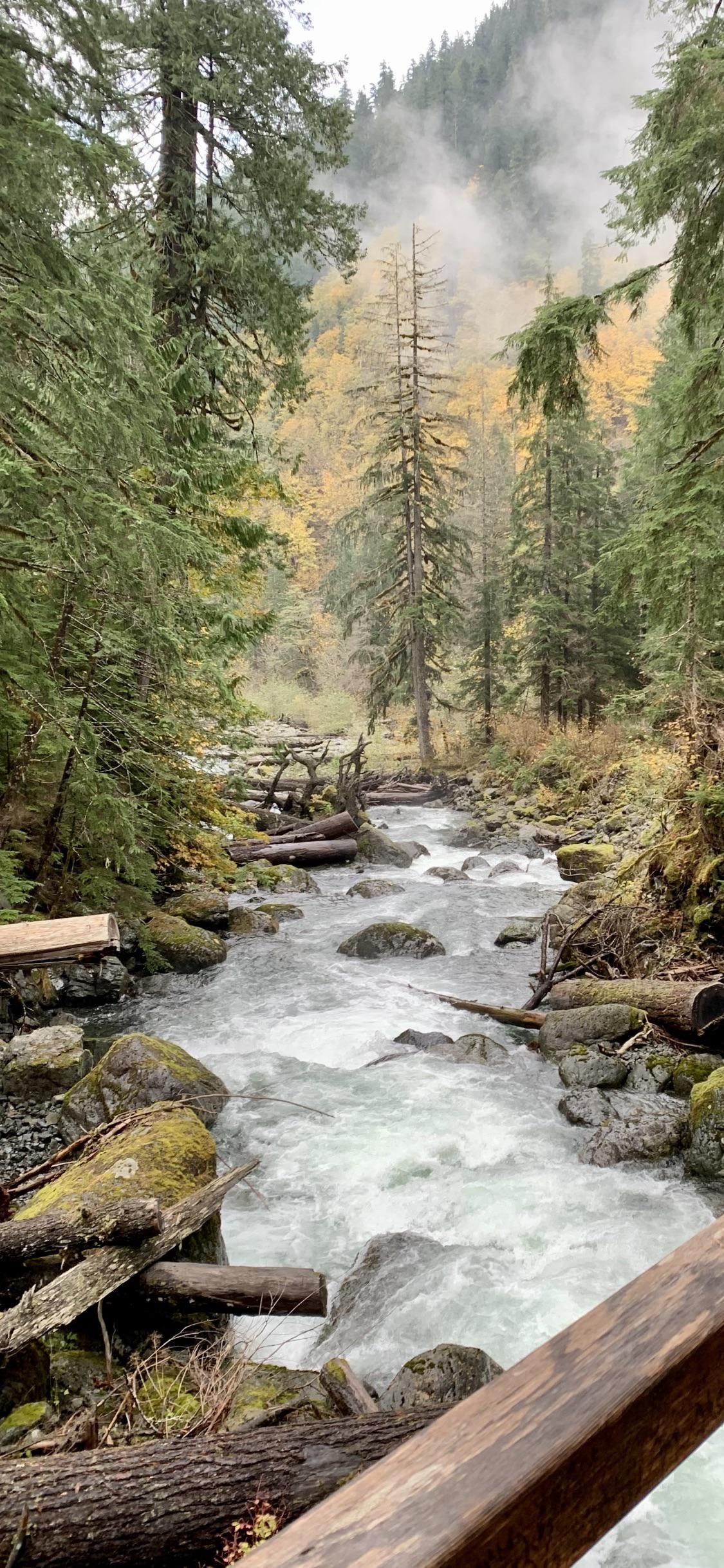 Nature, Water, Plant, Natural Landscape, Natural Environment. Wallpaper in 1125x2436 Resolution