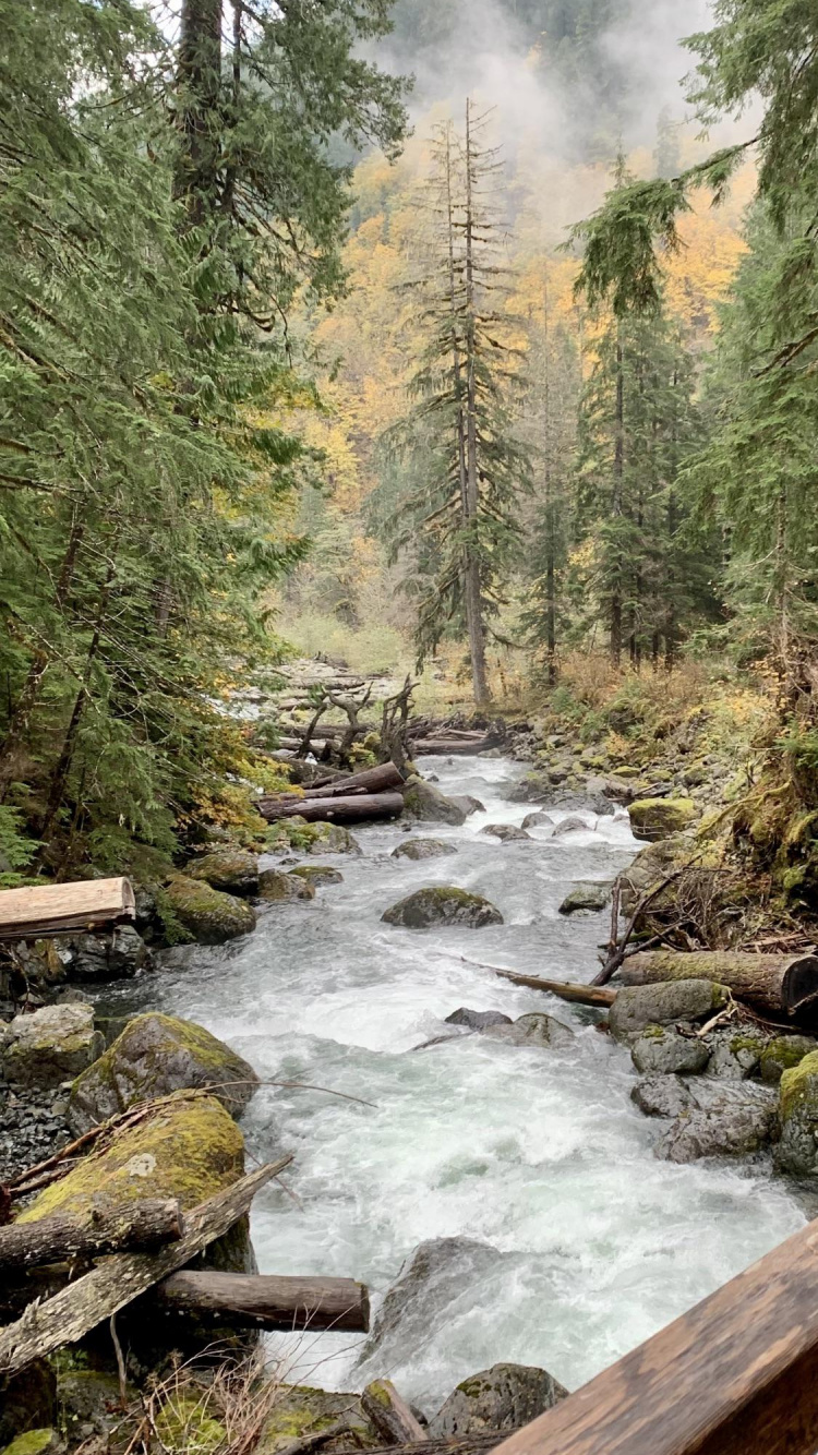 Nature, Water, Plant, Natural Landscape, Natural Environment. Wallpaper in 750x1334 Resolution