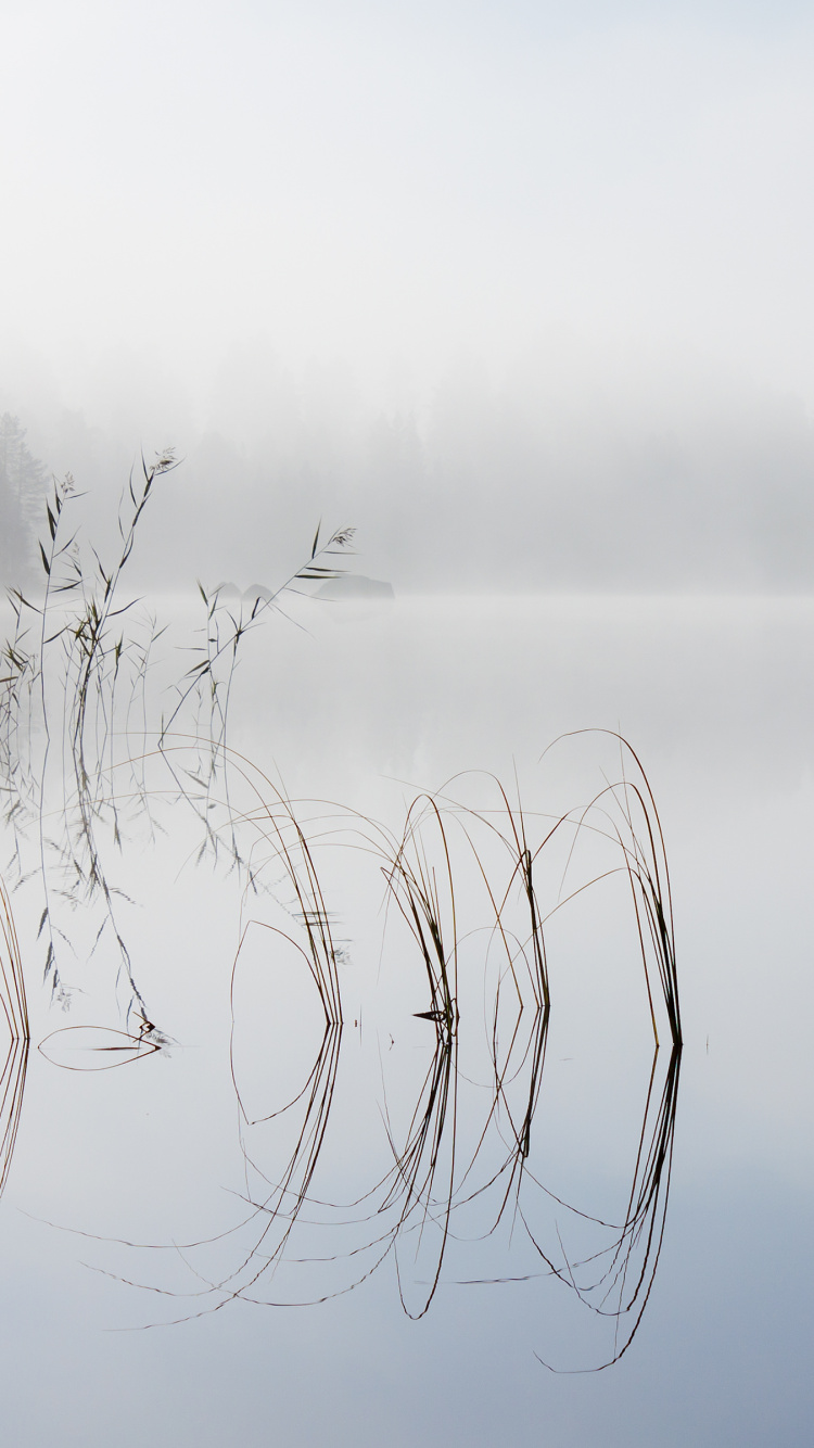 Tablet, Wasser, Wasserressourcen, Naturlandschaft, Nebel. Wallpaper in 750x1334 Resolution
