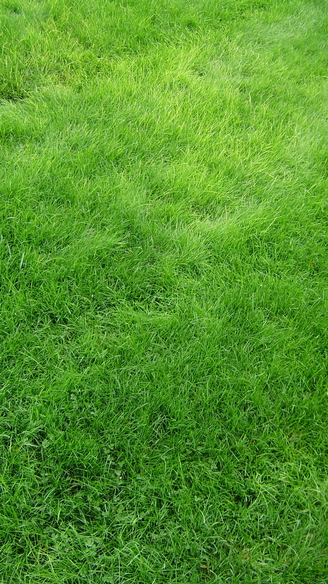 Green Grass Field During Daytime. Wallpaper in 1080x1920 Resolution