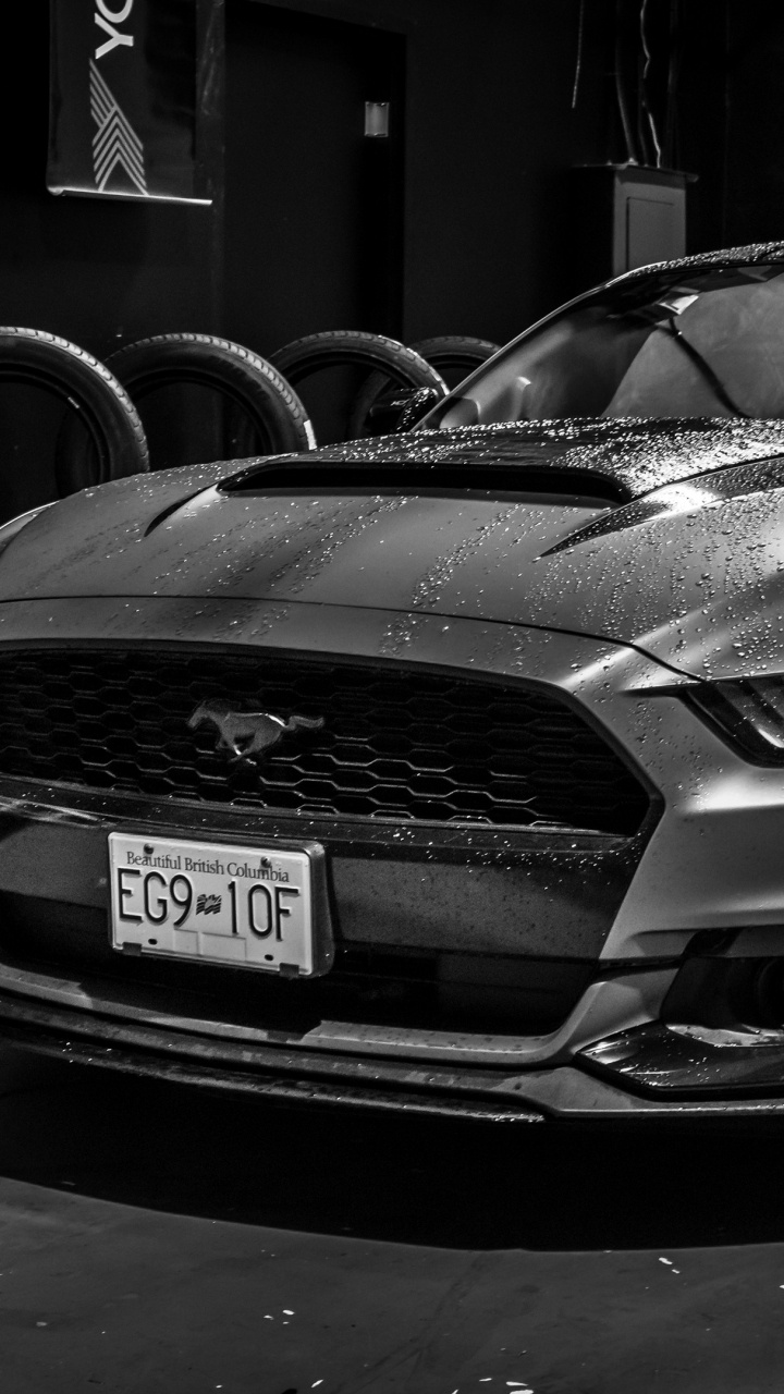 Grayscale Photo of Mercedes Benz Car. Wallpaper in 720x1280 Resolution