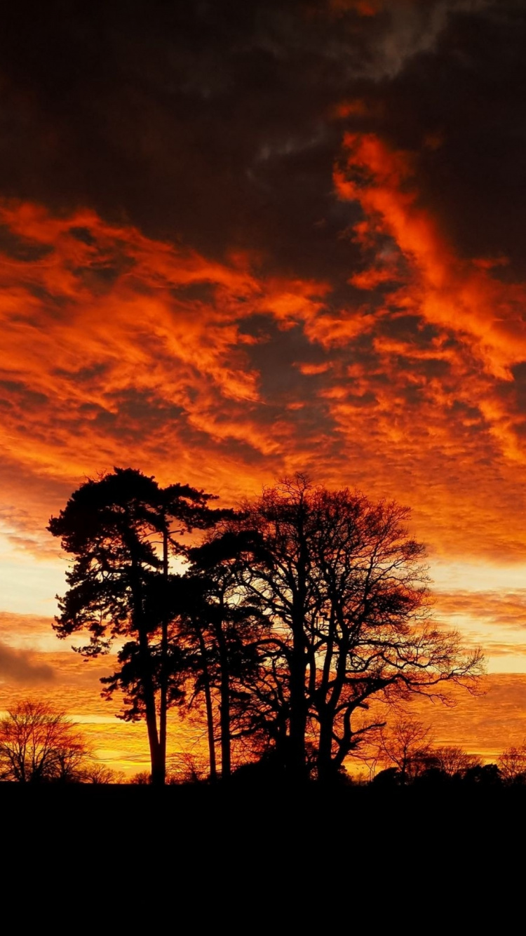 Silhouette, Cloud, Atmosphäre, Ökoregion, Naturlandschaft. Wallpaper in 750x1334 Resolution