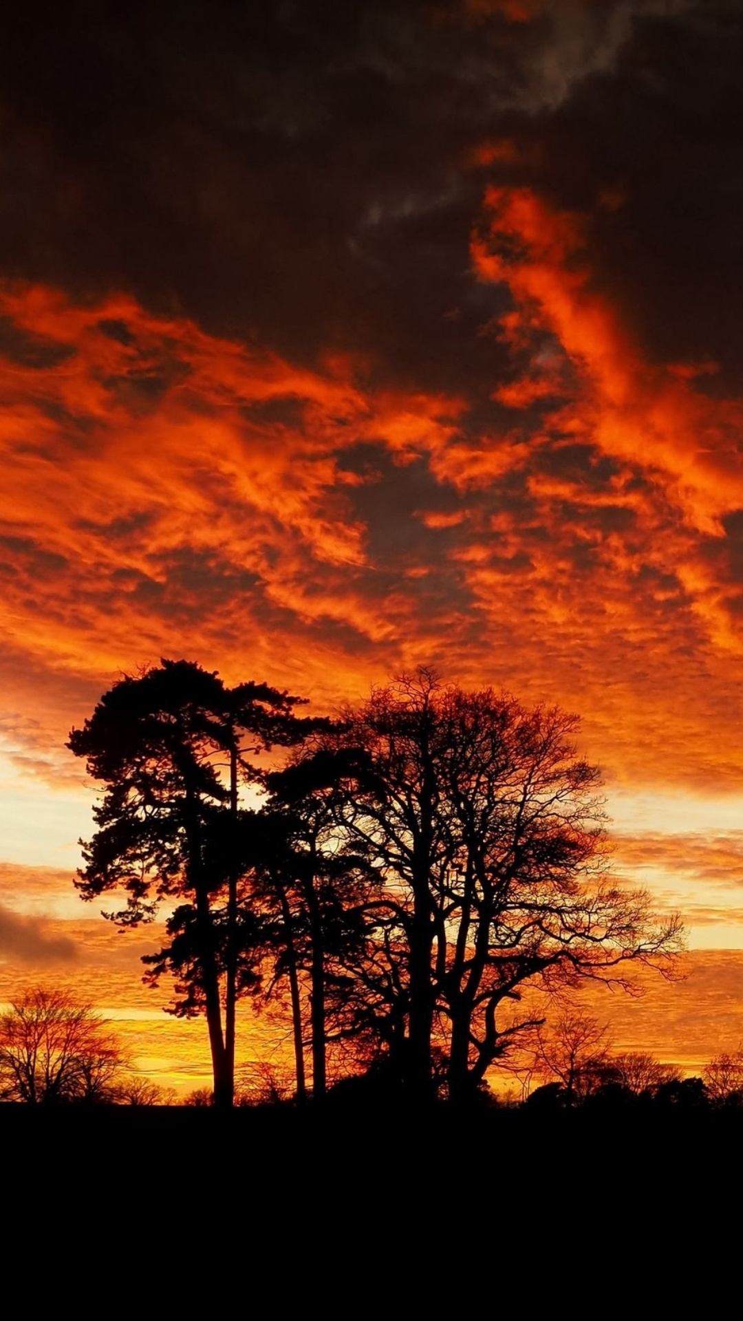 Silhouette, Cloud, Atmosphere, Ecoregion, Natural Landscape. Wallpaper in 1080x1920 Resolution