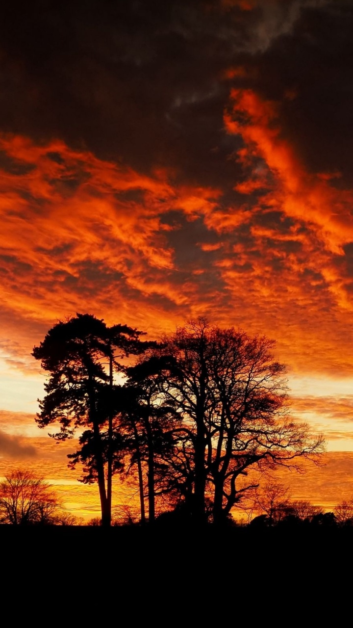 Silhouette, Cloud, Atmosphere, Ecoregion, Natural Landscape. Wallpaper in 720x1280 Resolution