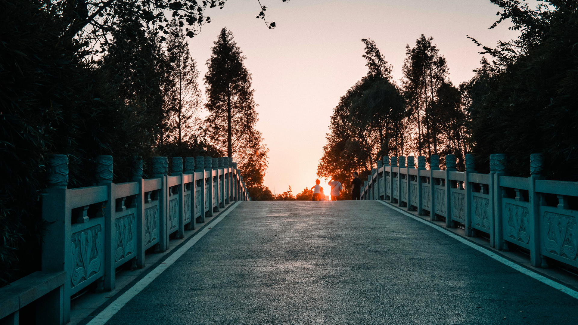 Tree, Light, Natural Landscape, Road, Morning. Wallpaper in 1920x1080 Resolution