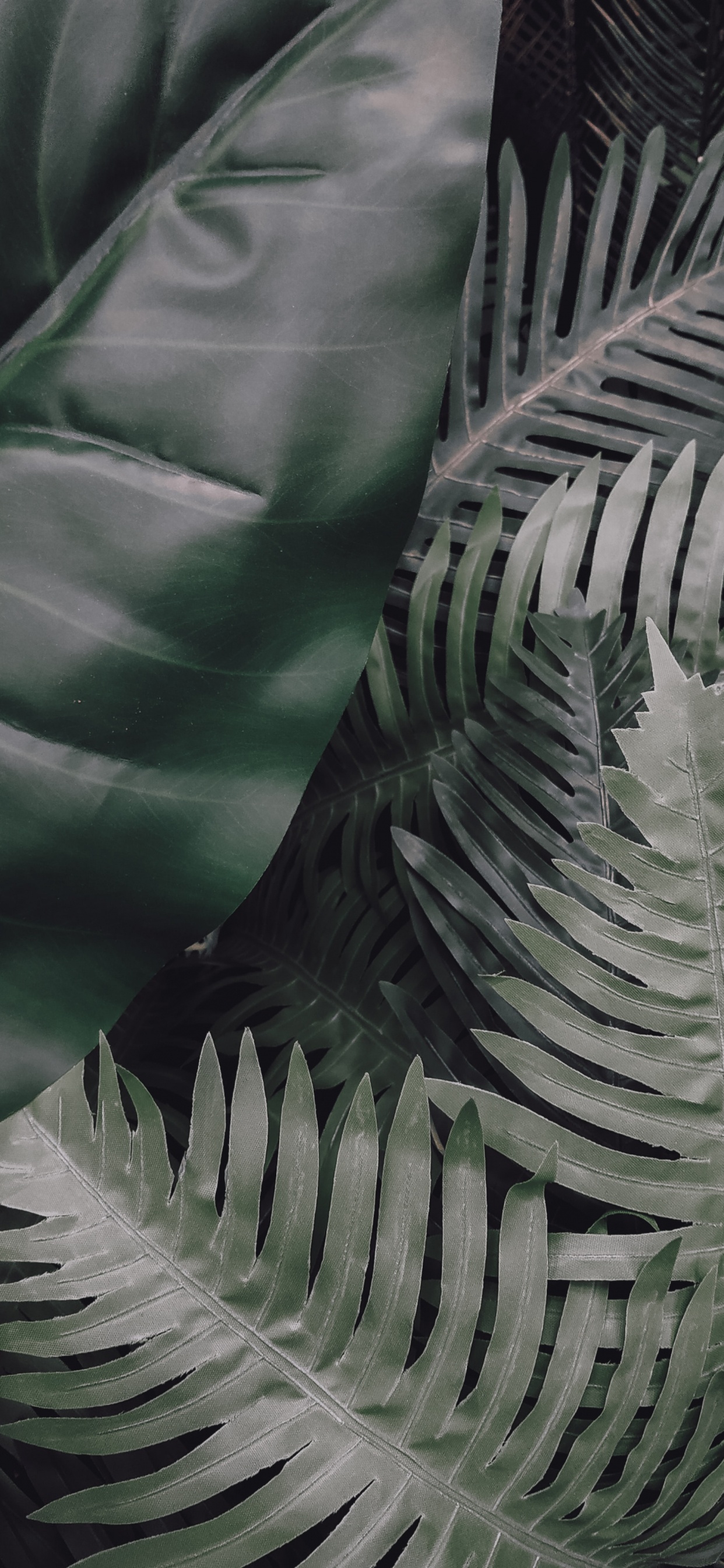 Leaf, Green, Vegetation, Terrestrial Plant, Plant. Wallpaper in 1242x2688 Resolution