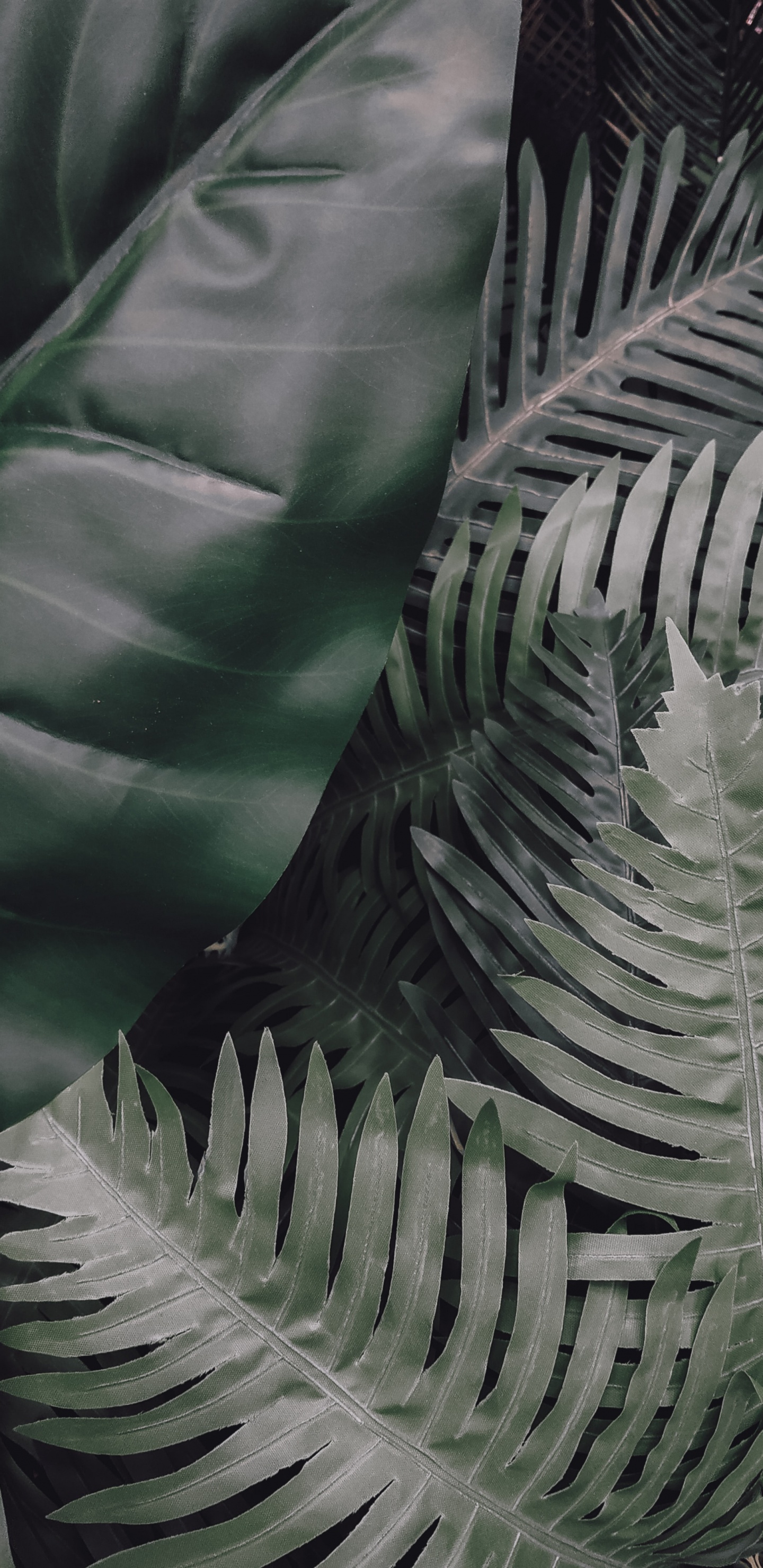 Leaf, Green, Vegetation, Terrestrial Plant, Plant. Wallpaper in 1440x2960 Resolution