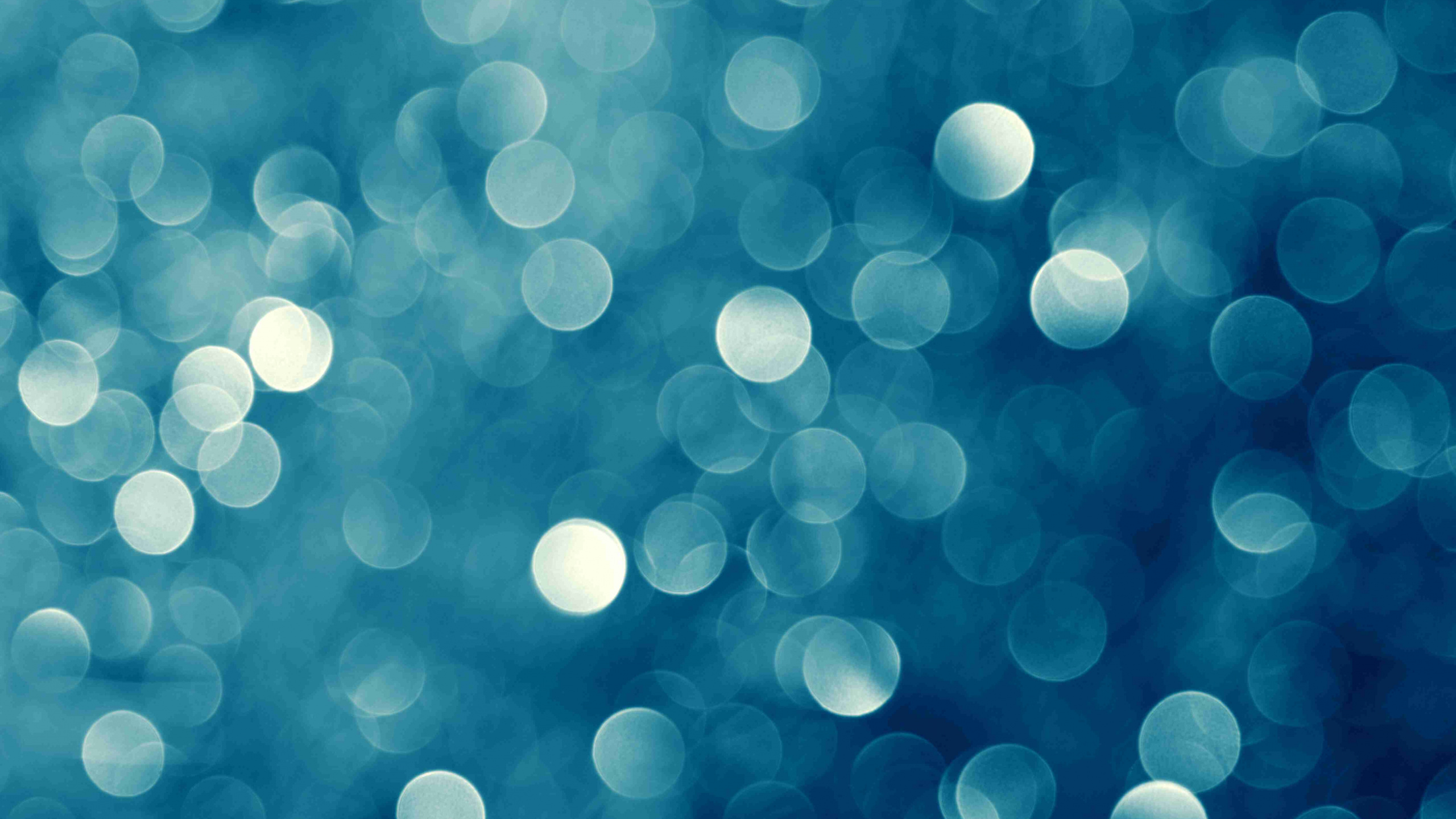 Lumières Bokeh Blanches et Bleues. Wallpaper in 2560x1440 Resolution