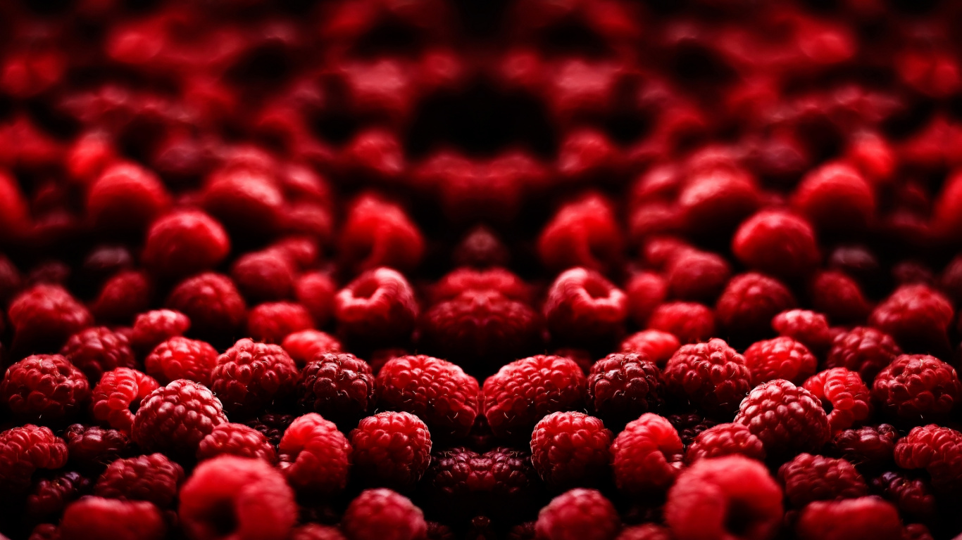 Pétalos en Forma de Corazón Rojo Sobre Fondo Blanco.. Wallpaper in 1366x768 Resolution