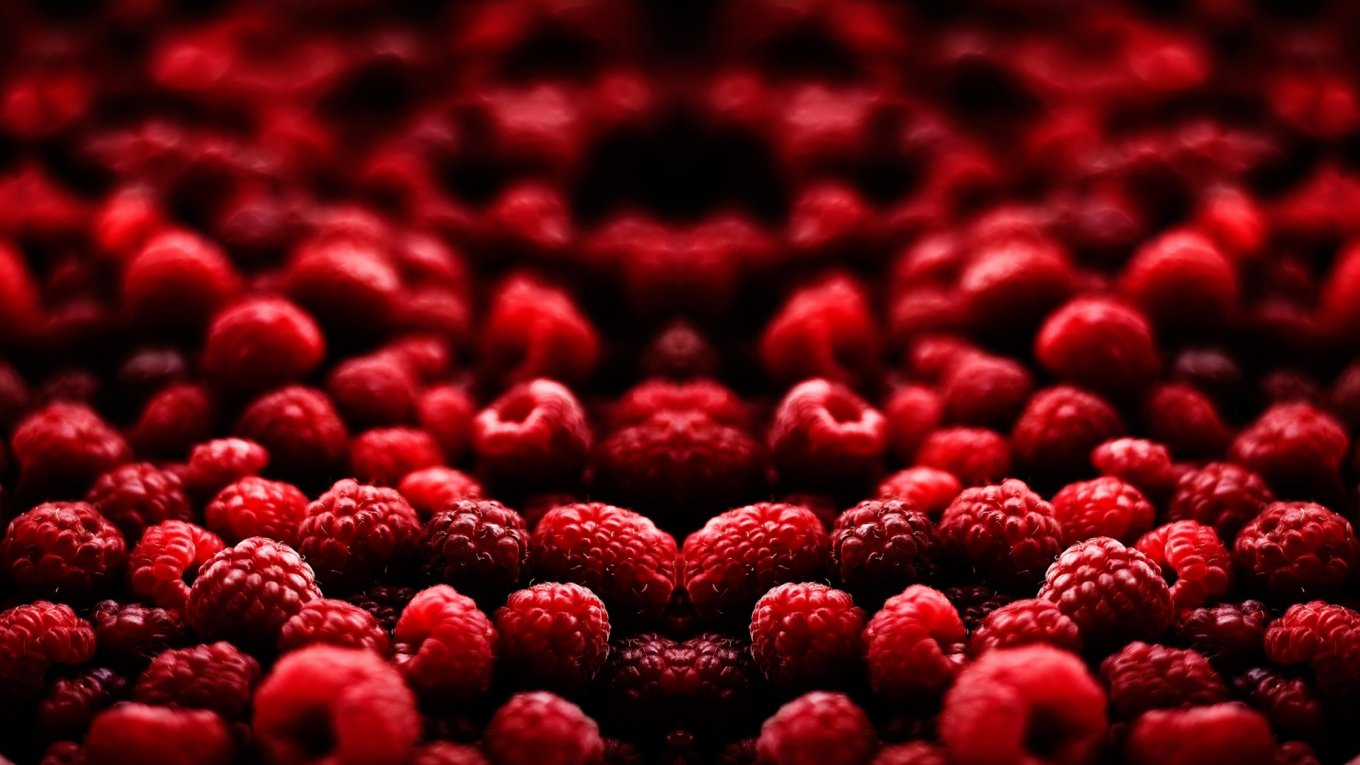 Pétalos en Forma de Corazón Rojo Sobre Fondo Blanco.. Wallpaper in 1920x1080 Resolution