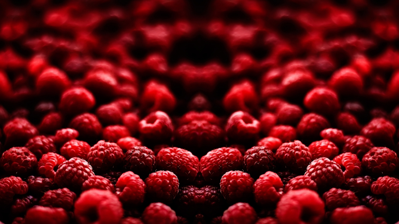 Red Heart Shaped Petals on White Background. Wallpaper in 1280x720 Resolution